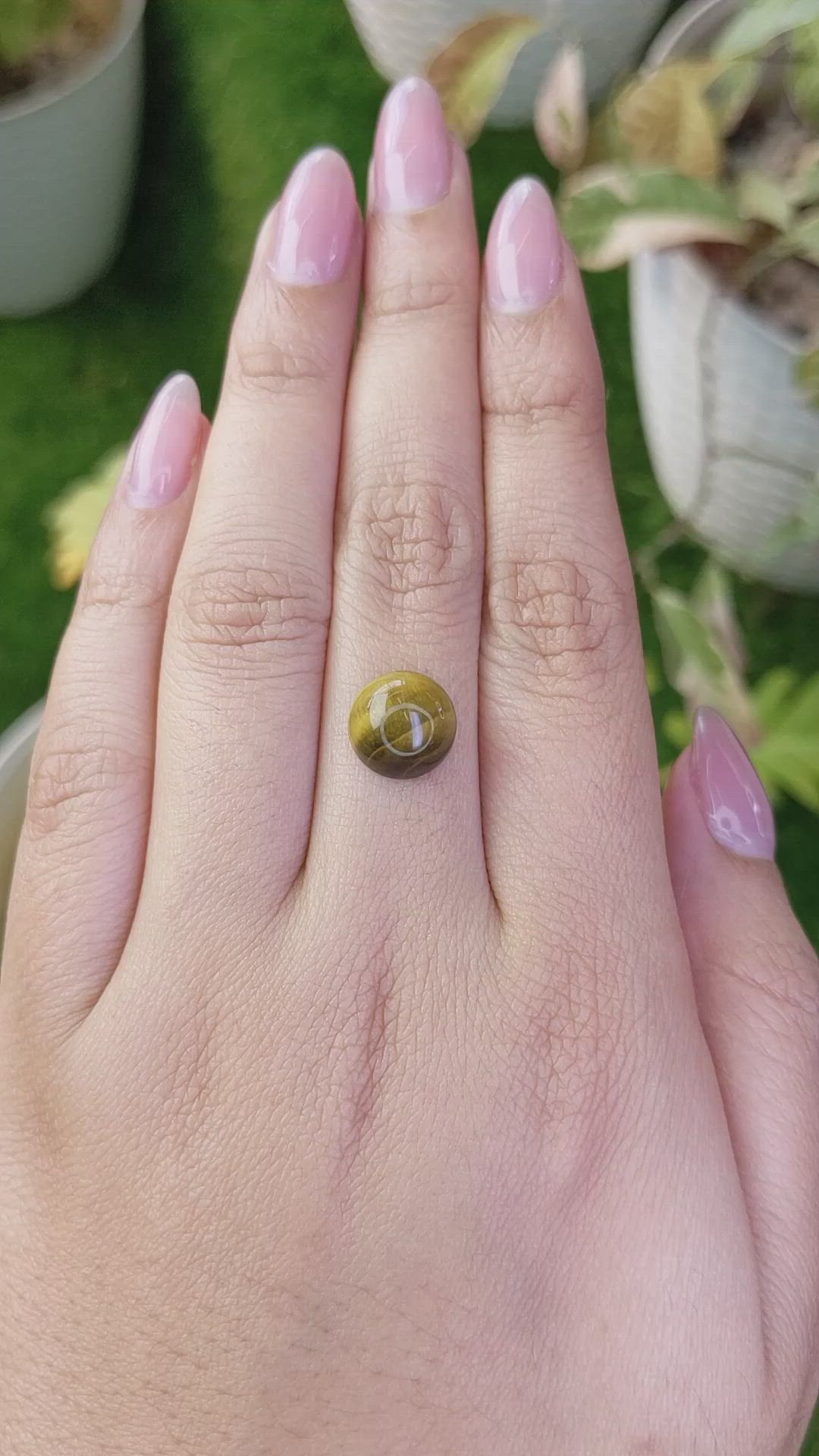 4.53 Ct. Cabochon Tiger's Eye from Ceylon (Sri Lanka) Size Video