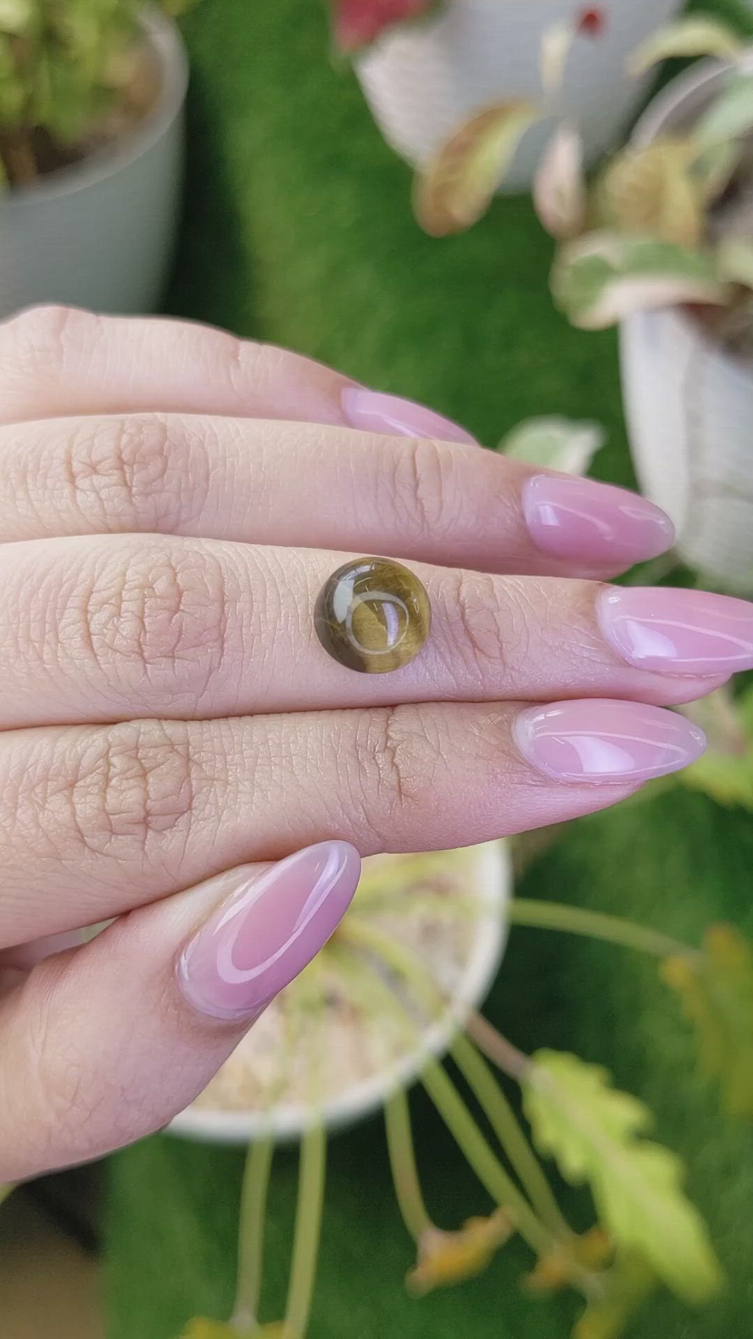 4.53 Ct. Cabochon Tiger's Eye from Ceylon (Sri Lanka) Size Video