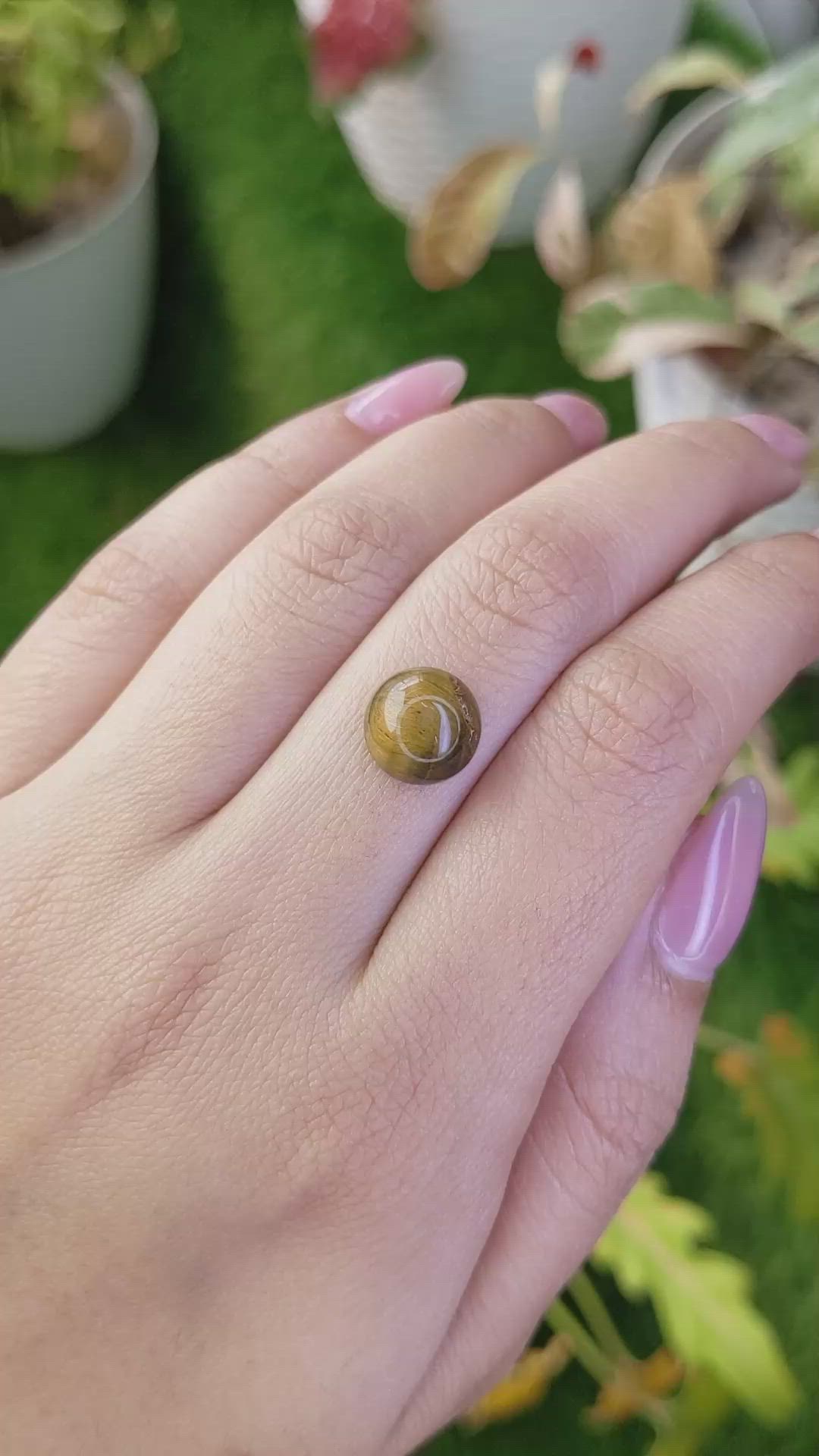 4.56 Ct. Cabochon Tiger's Eye from Ceylon (Sri Lanka) Size Video