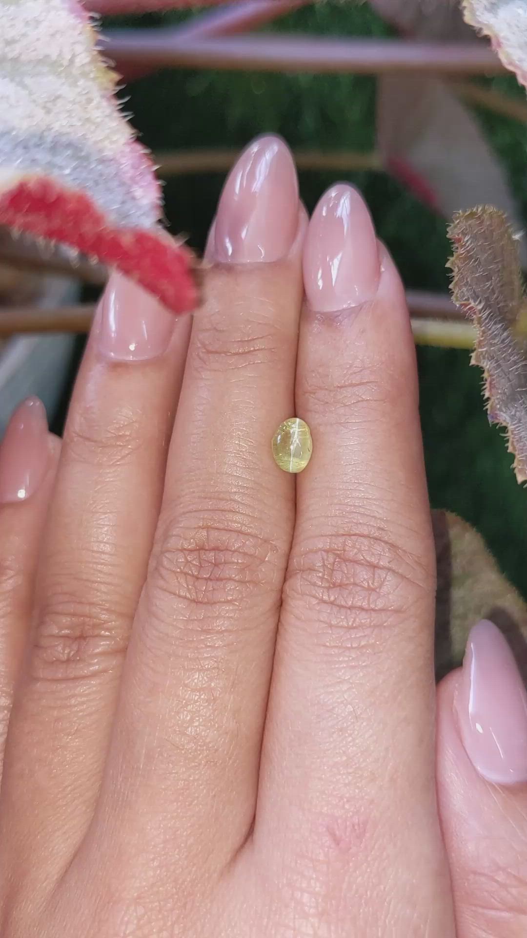 1.04 Ct. Greenish Yellow Cabochon Chrysoberyl from Ceylon (Sri Lanka) Size Video