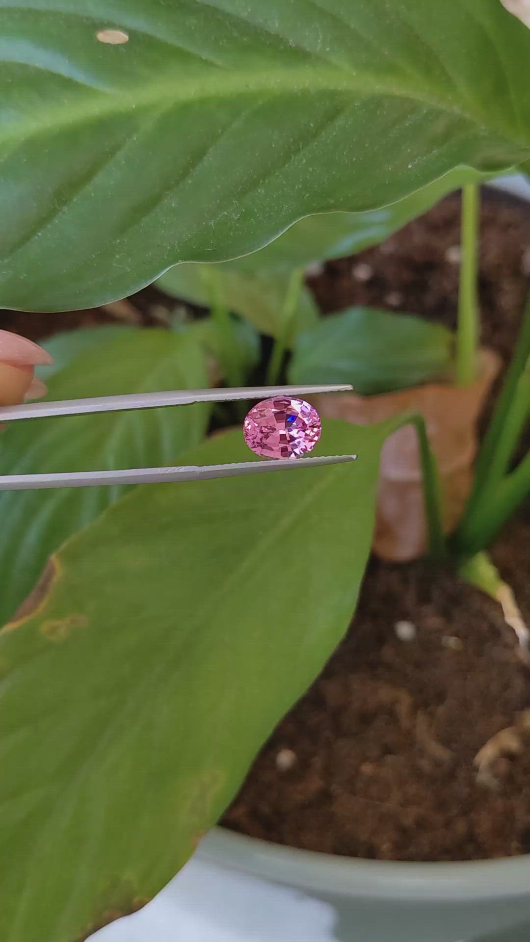 2.76 Ct. Pink Spinel from Ceylon (Sri Lanka) Size Video