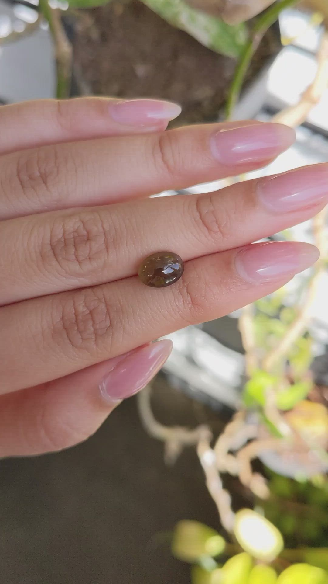 2.32 Ct. Yellowish Brown Cabochon Kornerupine from Ceylon (Sri Lanka) Size Video