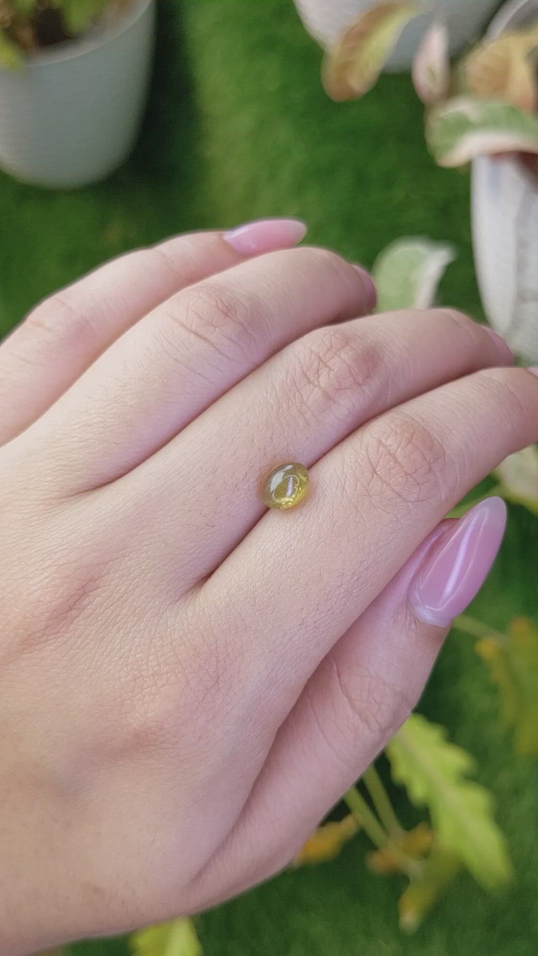 1.56 Ct. Greenish Yellow Cabochon Chrysoberyl from Ceylon (Sri Lanka) Size Video