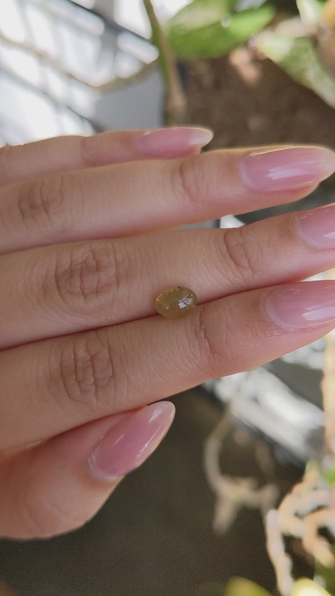 1.56 Ct. Greenish Yellow Cabochon Chrysoberyl from Ceylon (Sri Lanka) Size Video