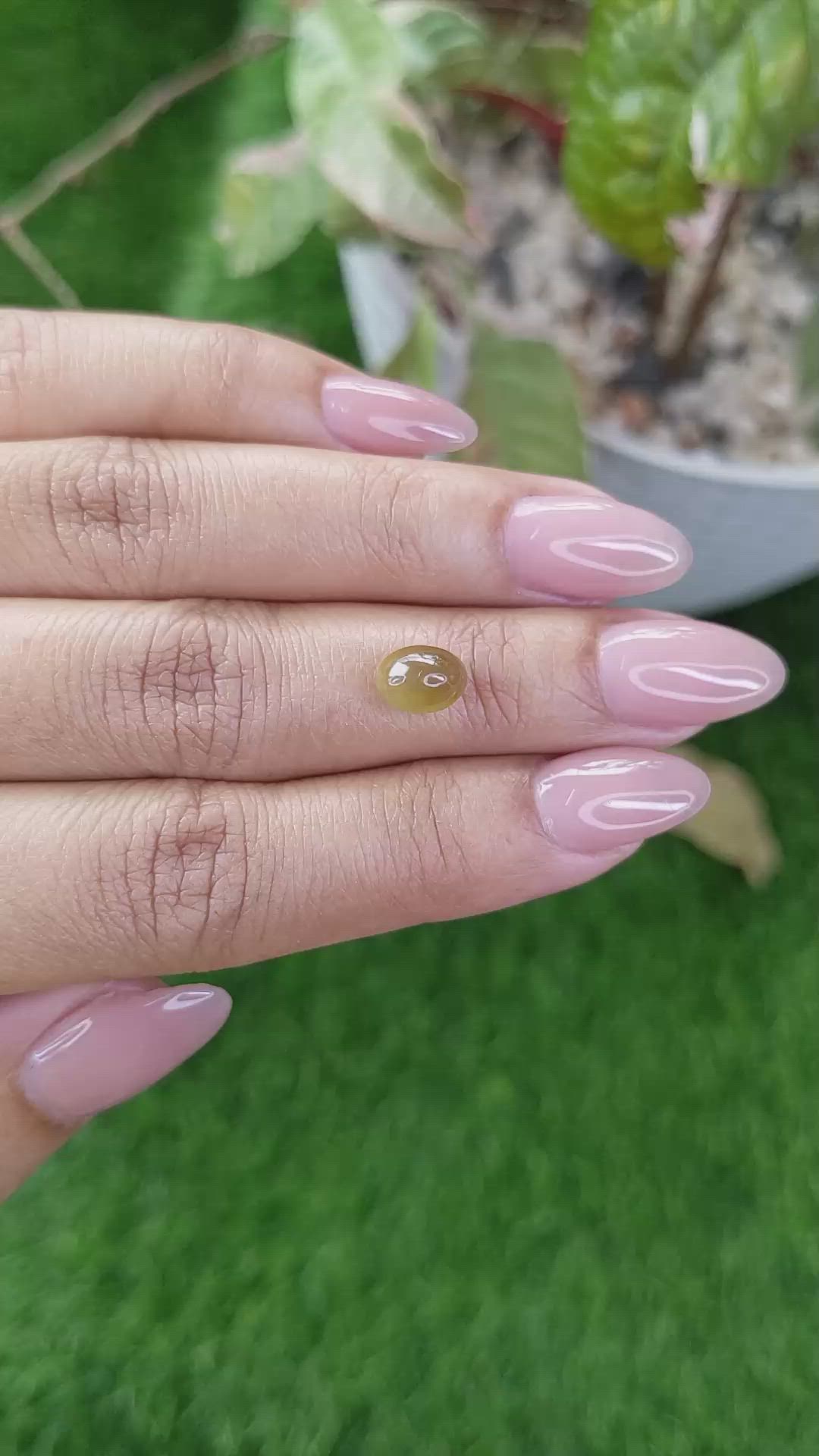 2.30 Ct. Yellowish Green Cabochon Chrysoberyl from Ceylon (Sri Lanka) Size Video