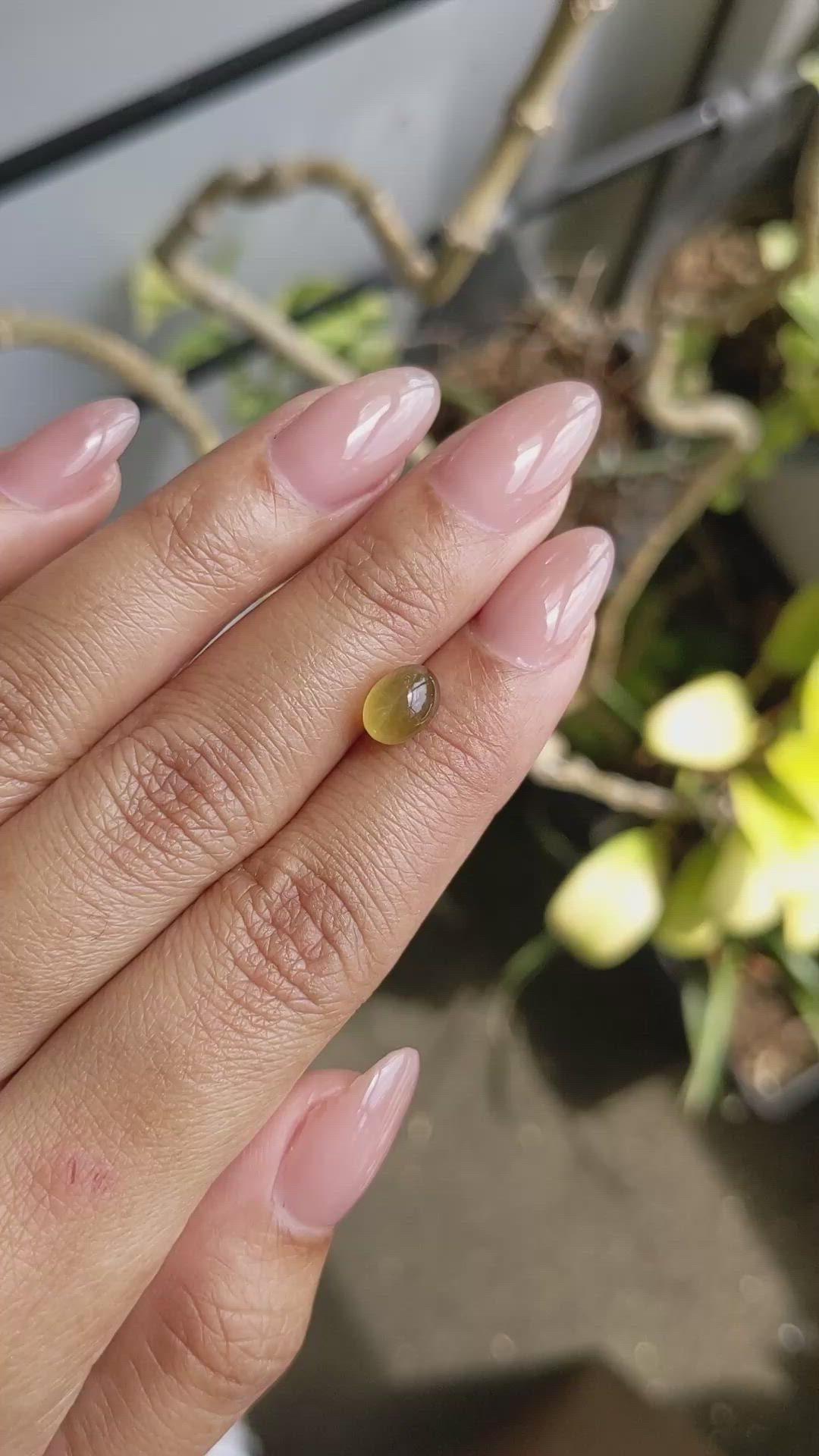 2.30 Ct. Yellowish Green Cabochon Chrysoberyl from Ceylon (Sri Lanka) Size Video