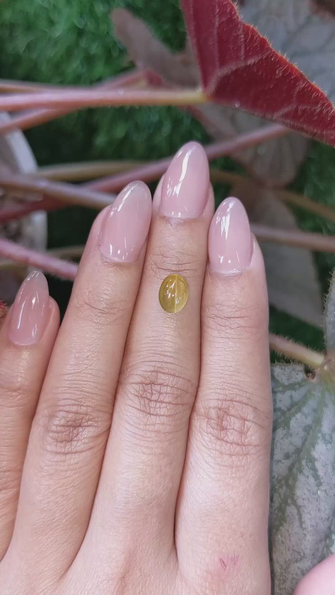 2.30 Ct. Yellowish Green Cabochon Chrysoberyl from Ceylon (Sri Lanka) Size Video
