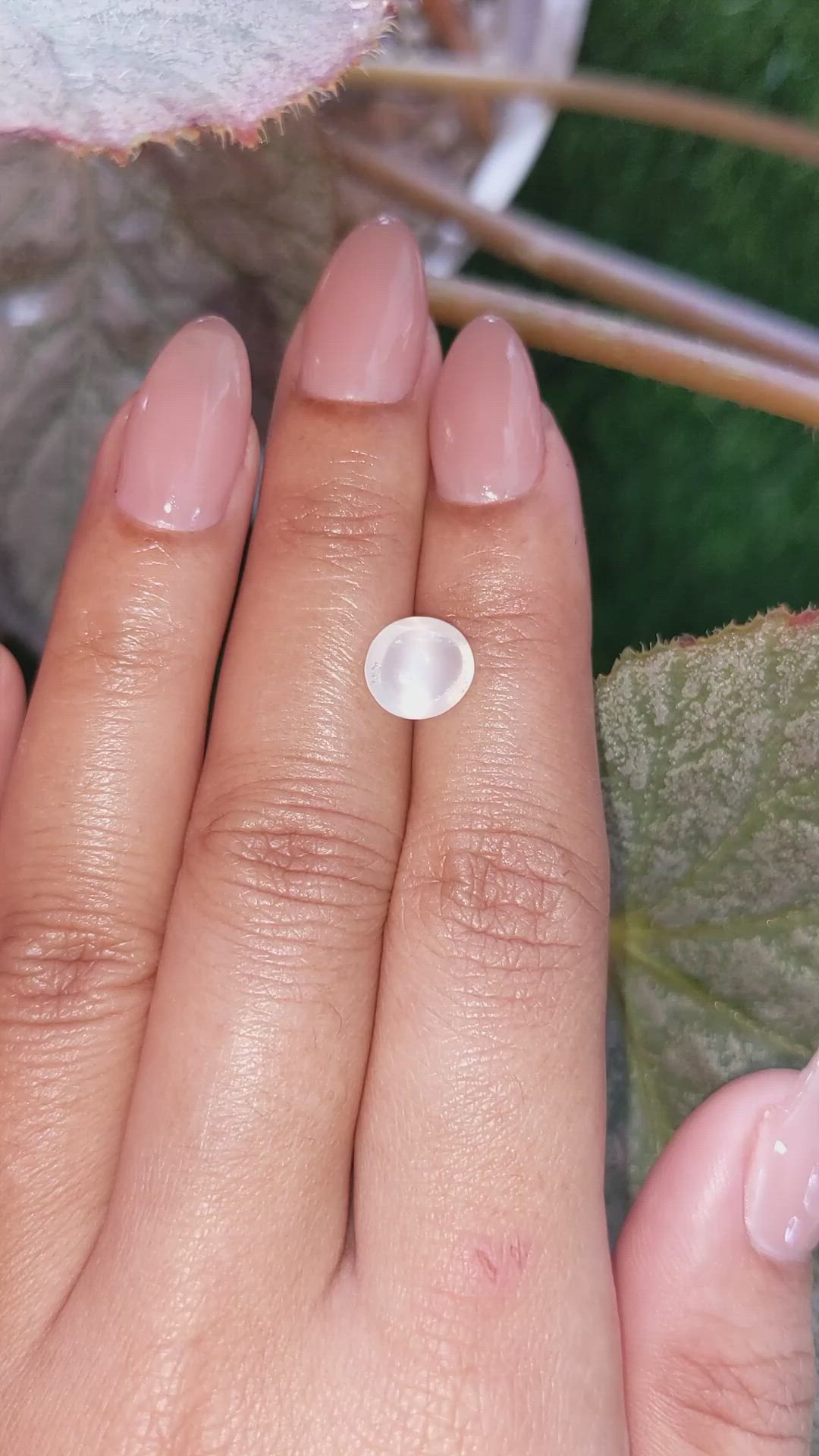 1.96 Ct. White Cabochon Moonstone from Ceylon (Sri Lanka) Size Video