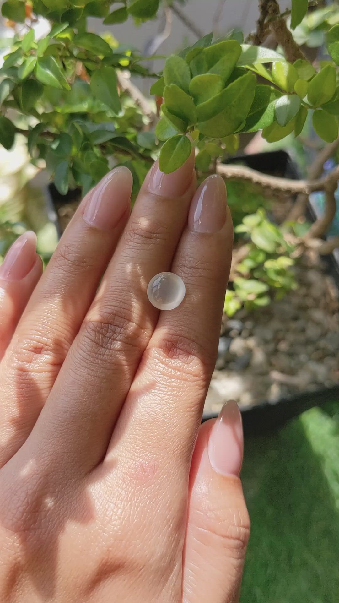 2.67 Ct. White Cabochon Moonstone from Ceylon (Sri Lanka) Size Video
