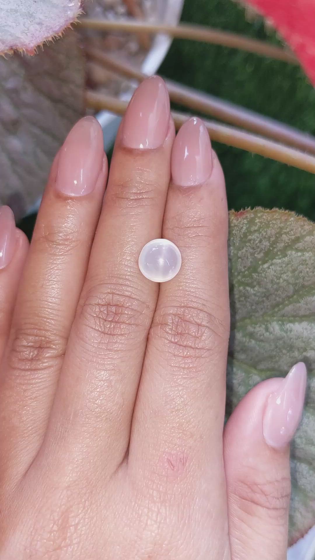 2.67 Ct. White Cabochon Moonstone from Ceylon (Sri Lanka) Size Video