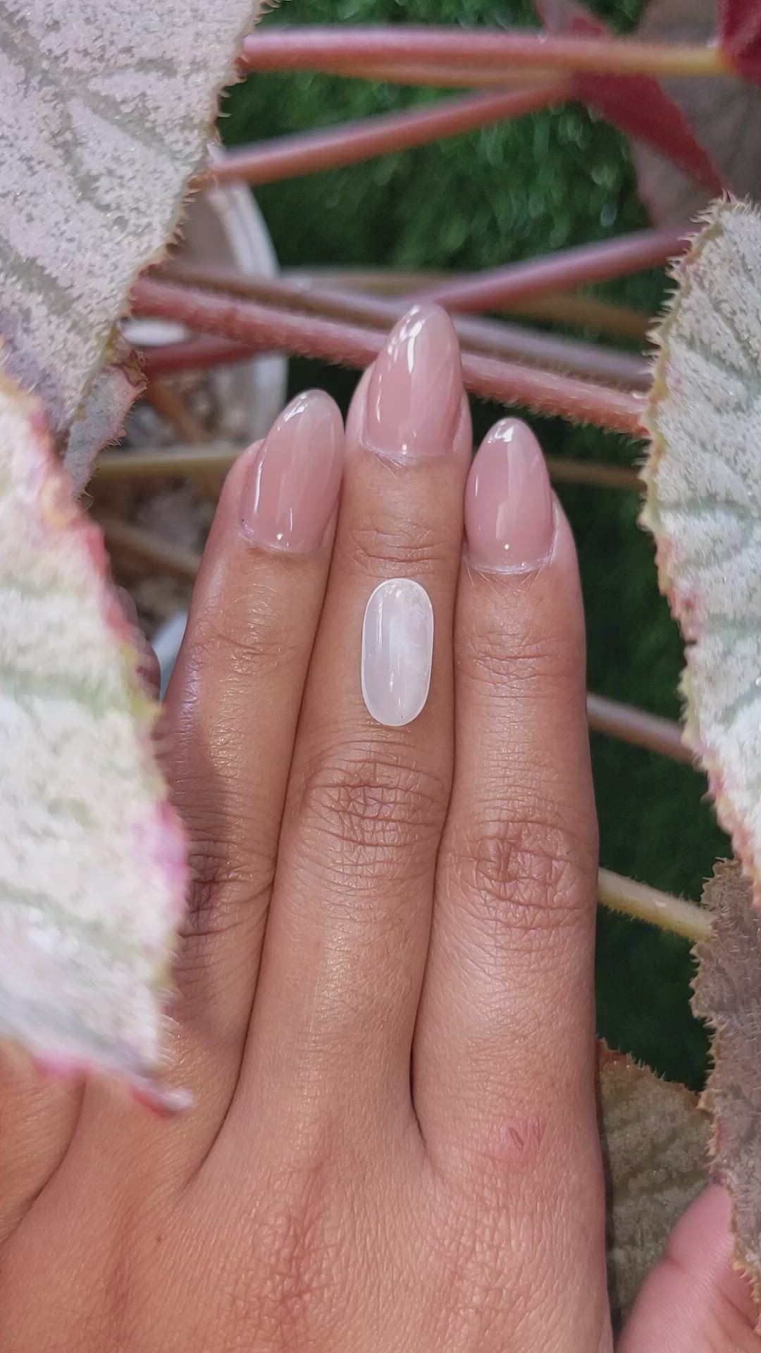 3.31 Ct. White Cabochon Moonstone from Ceylon (Sri Lanka) Size Video