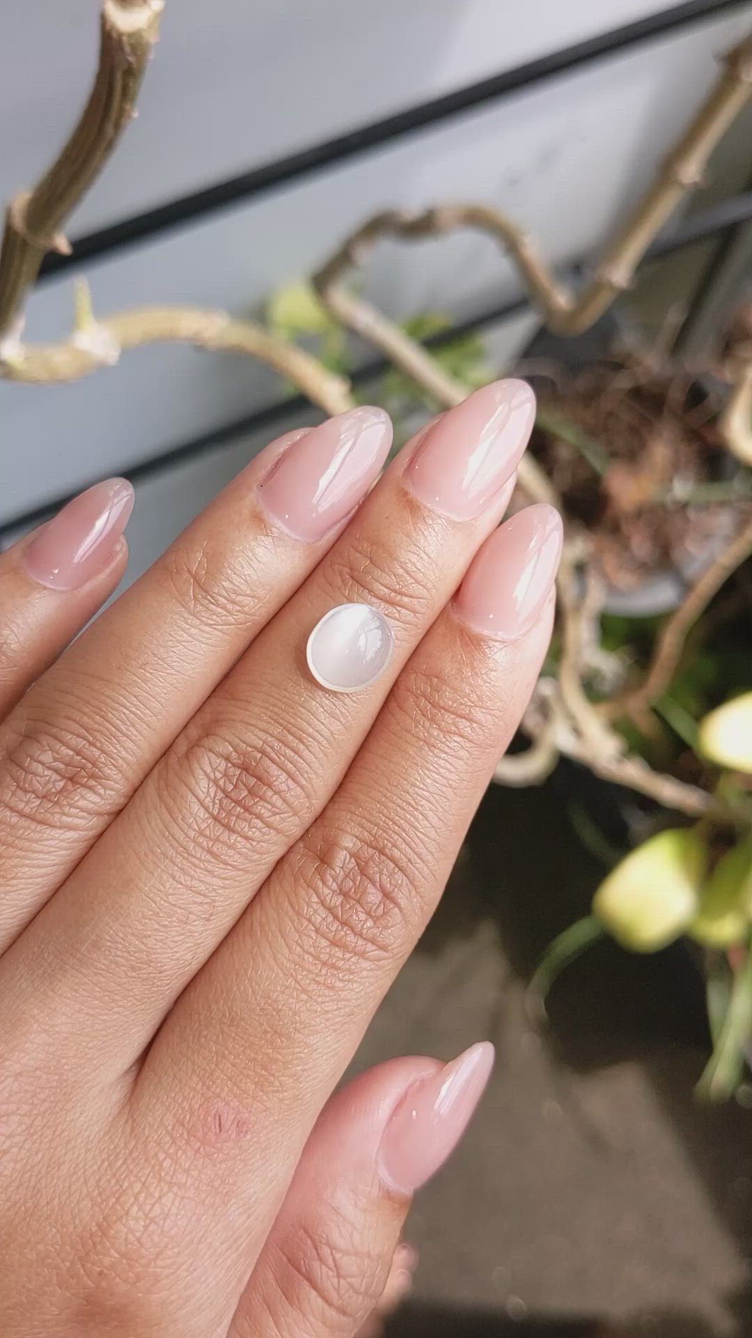 2.43 Ct. White Cabochon Moonstone from Ceylon (Sri Lanka) Size Video