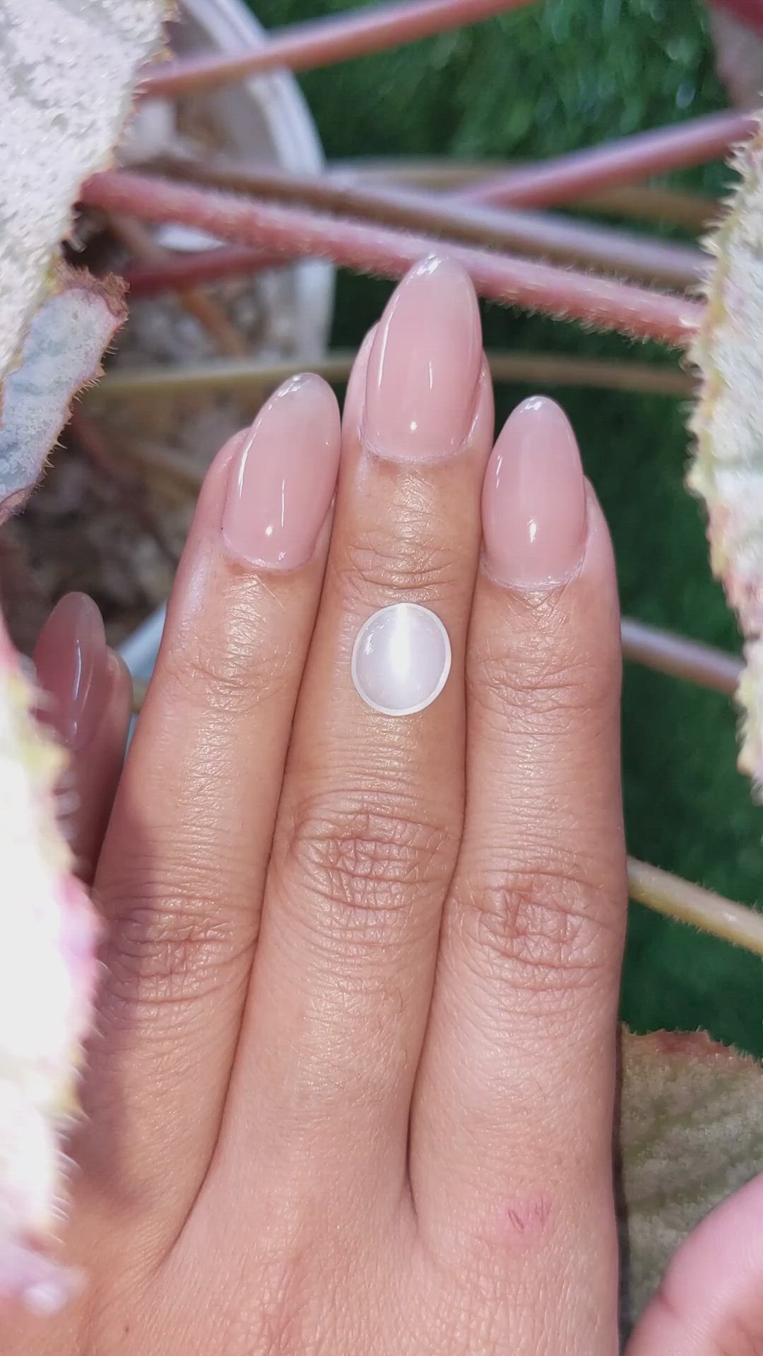 2.43 Ct. White Cabochon Moonstone from Ceylon (Sri Lanka) Size Video