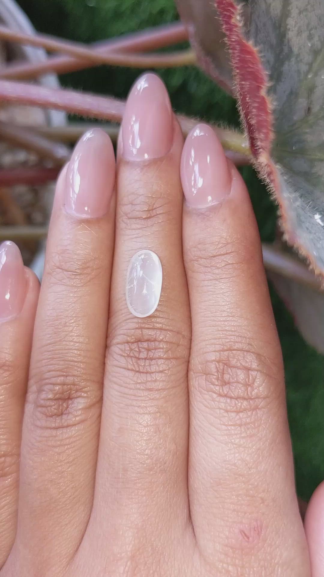 2.24 Ct. White Cabochon Moonstone from Ceylon (Sri Lanka) Size Video