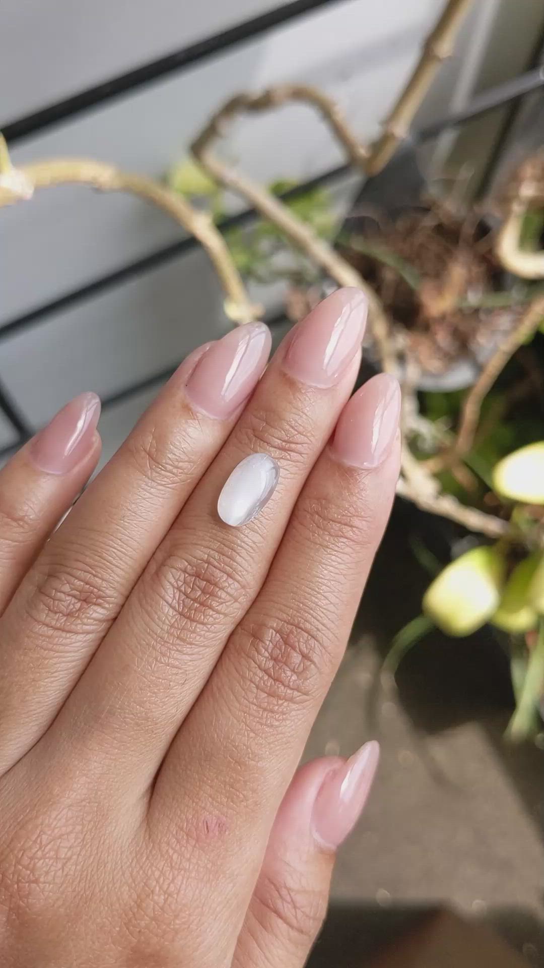 2.62 Ct. White Cabochon Moonstone from Ceylon (Sri Lanka) Size Video