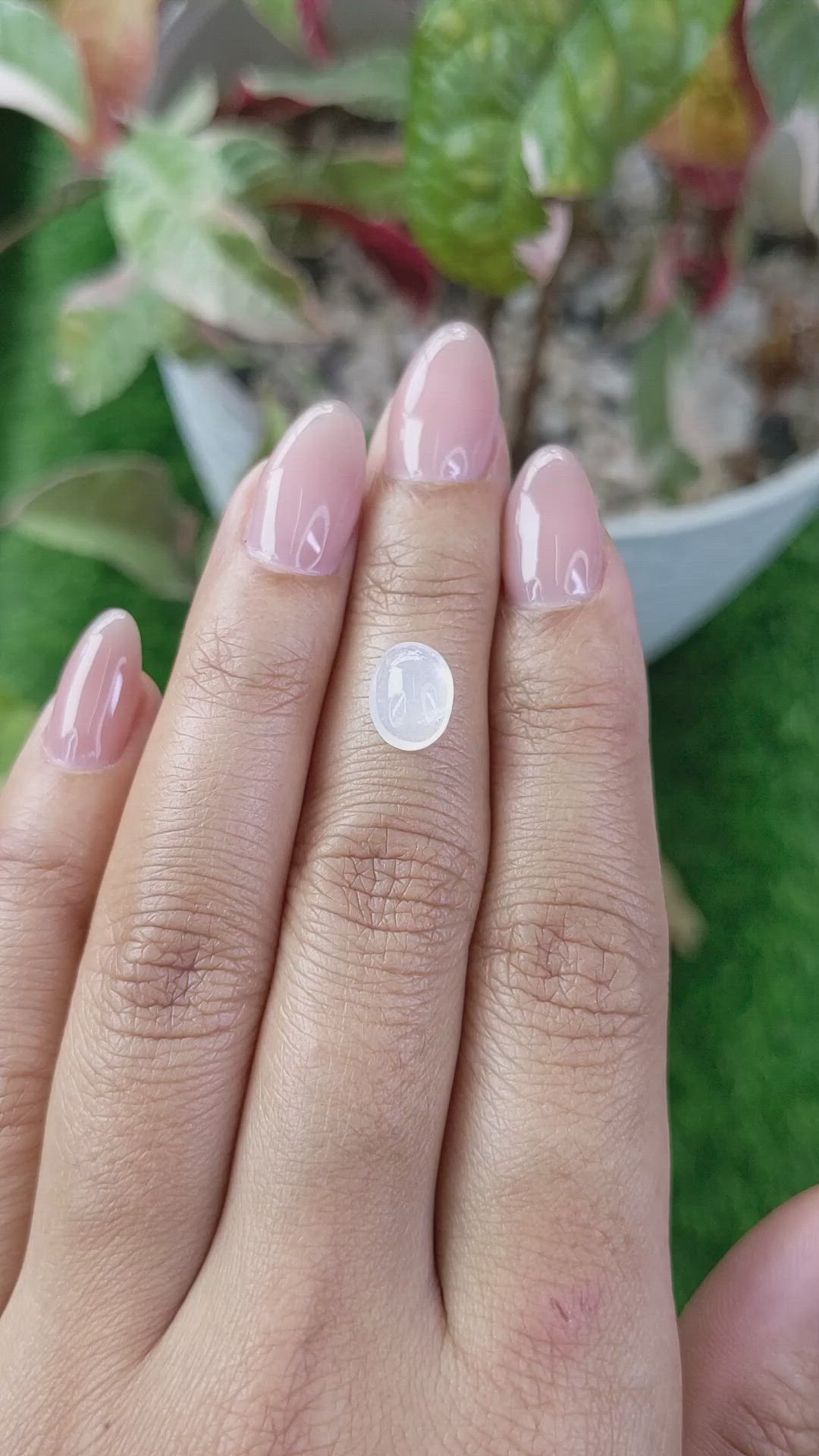 1.65 Ct. White Cabochon Moonstone from Ceylon (Sri Lanka) Size Video