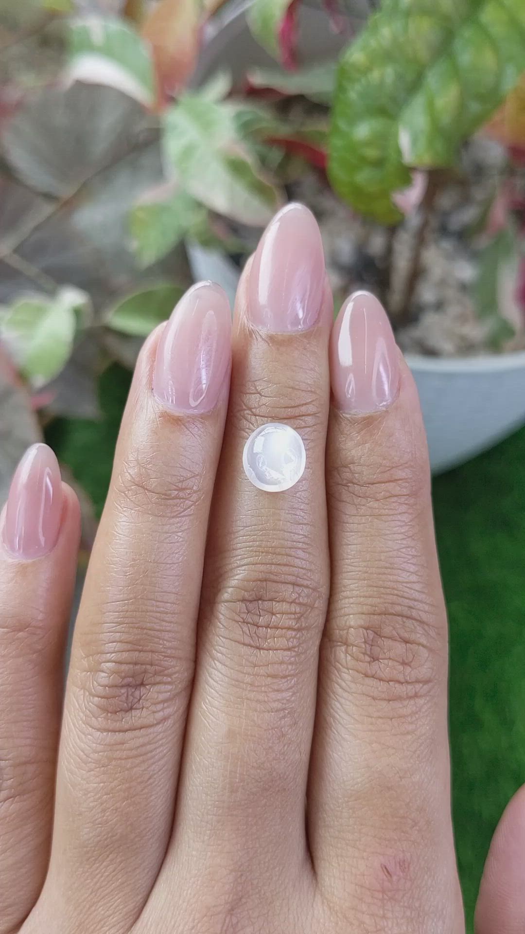 1.70 Ct. White Cabochon Moonstone from Ceylon (Sri Lanka) Size Video