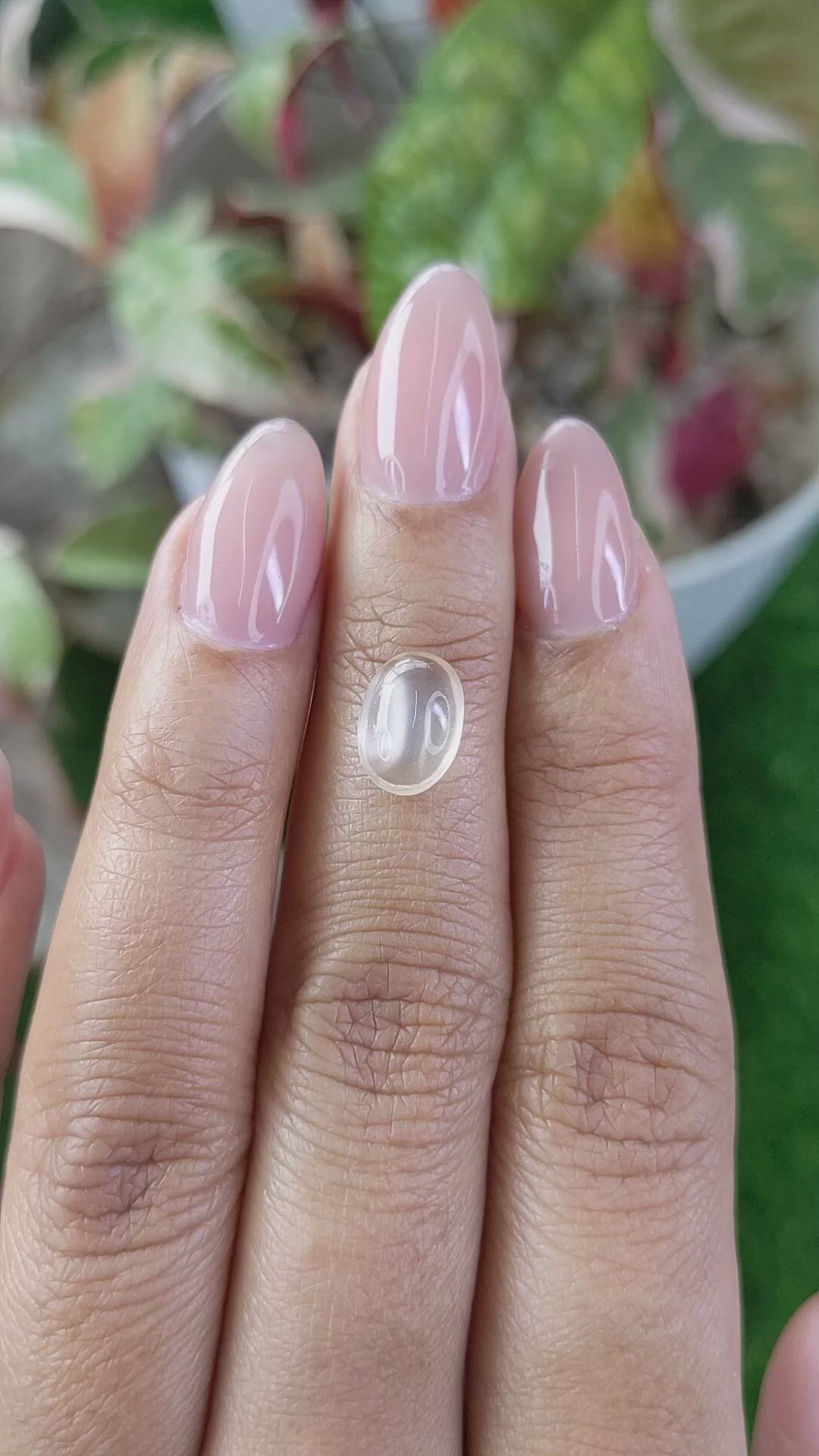 2.06 Ct. Yellow Cabochon Moonstone from Ceylon (Sri Lanka) Size Video