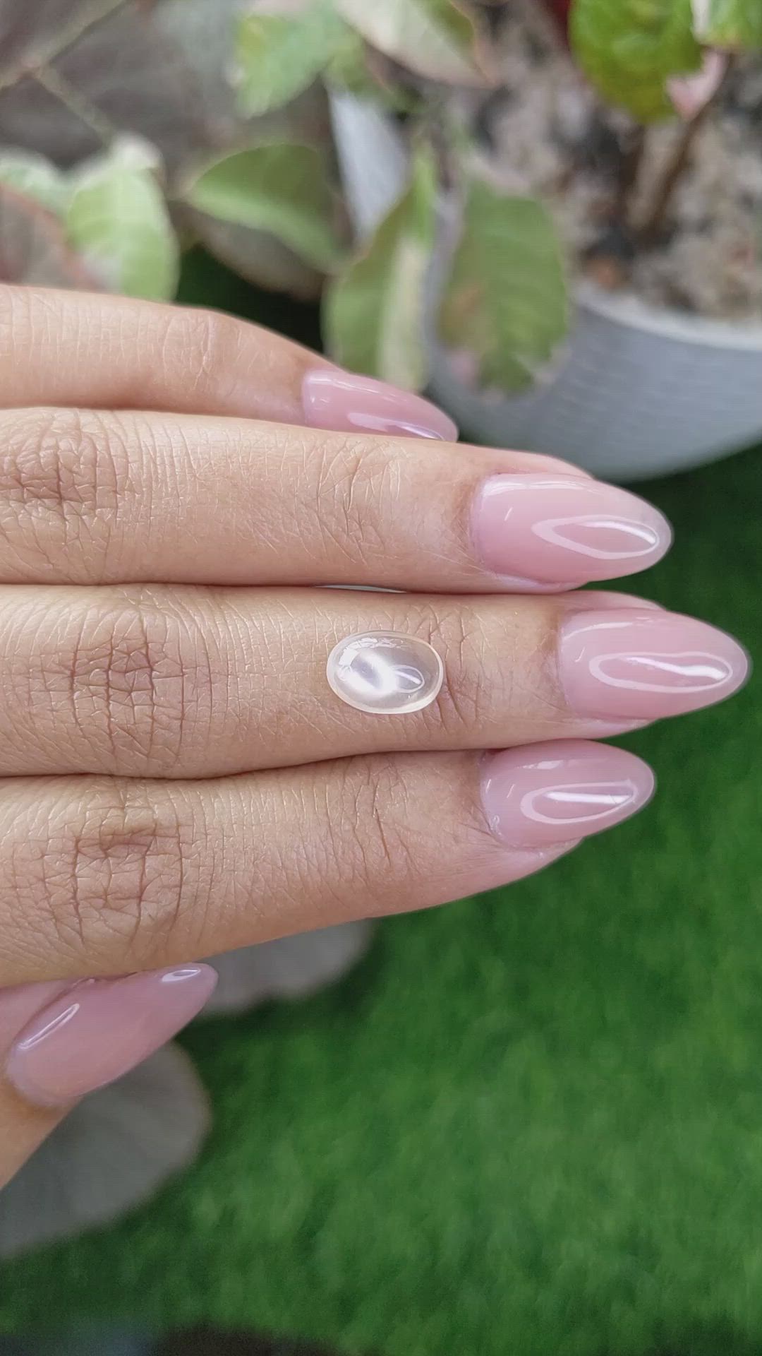 2.06 Ct. Yellow Cabochon Moonstone from Ceylon (Sri Lanka) Size Video