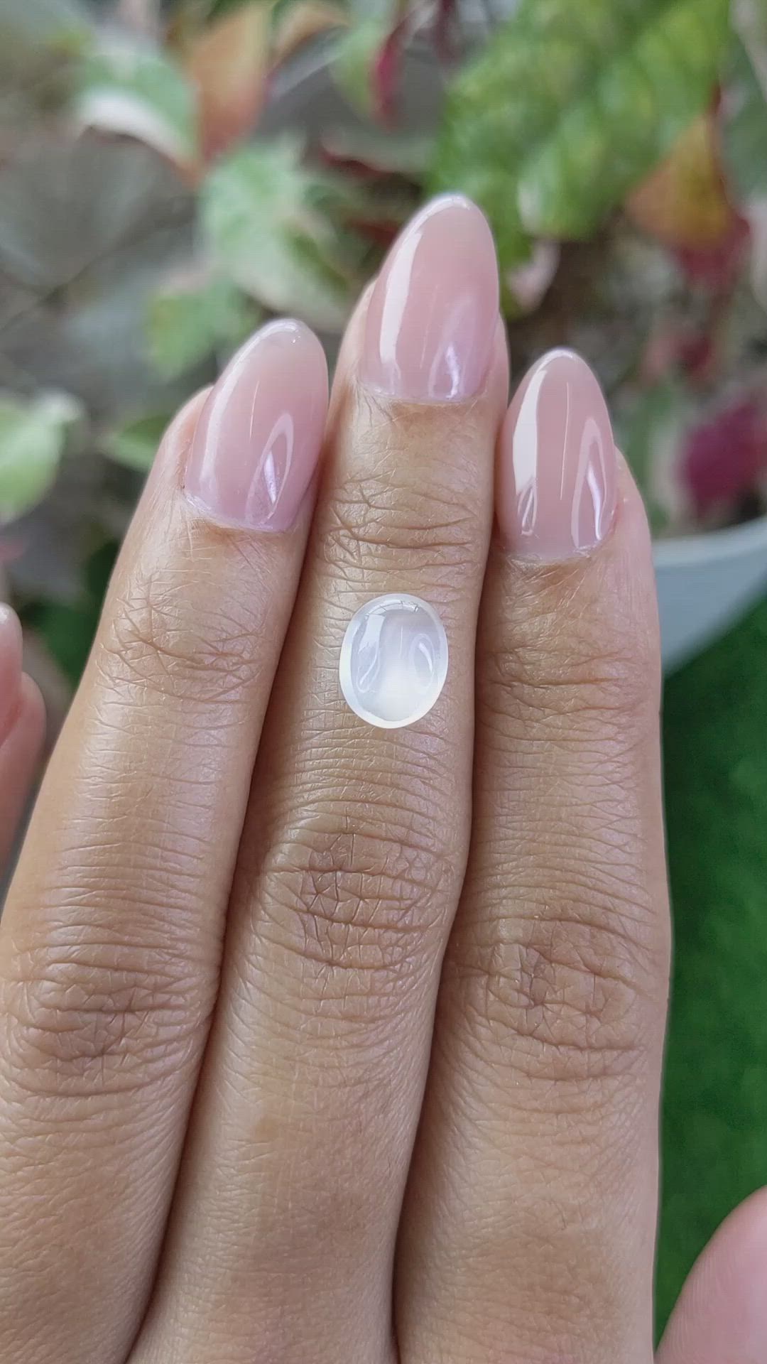 1.92 Ct. White Cabochon Moonstone from Ceylon (Sri Lanka) Size Video