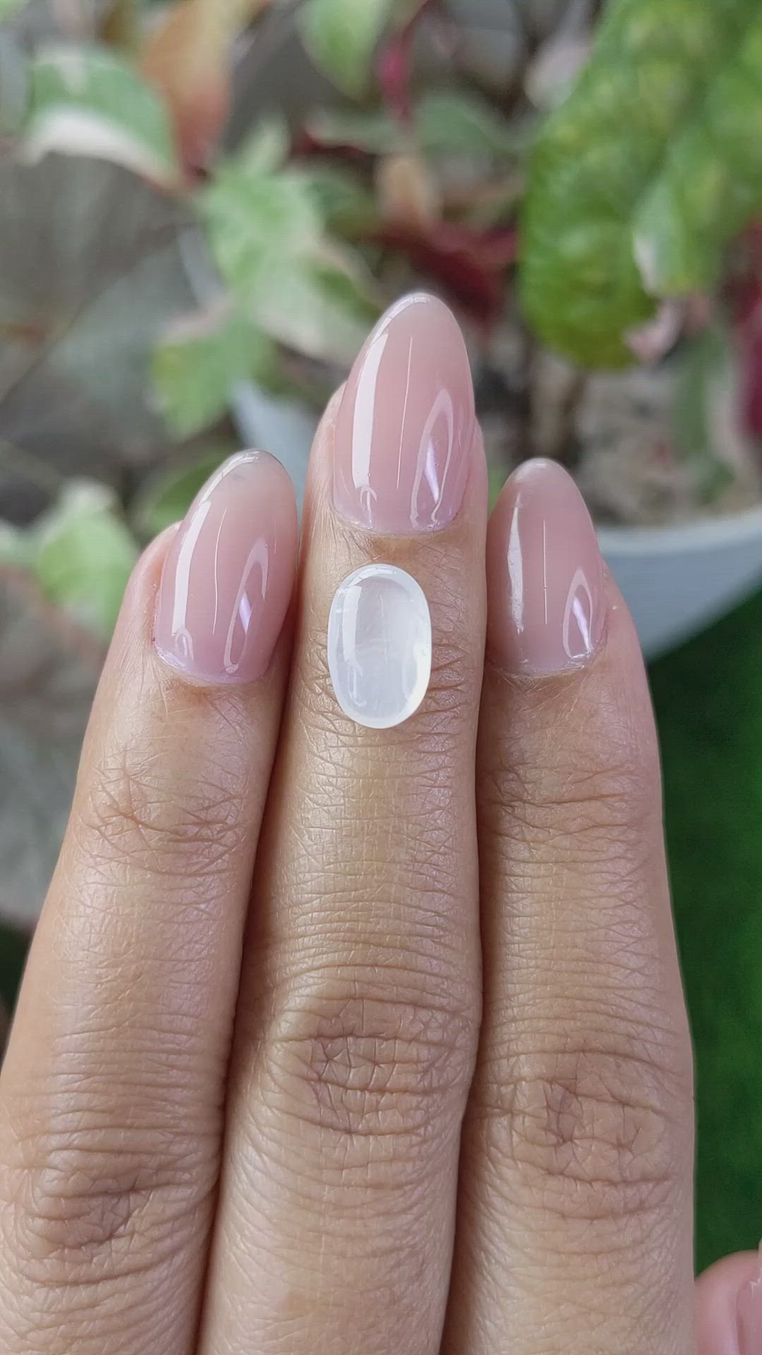 1.90 Ct. White Cabochon Moonstone from Ceylon (Sri Lanka) Size Video