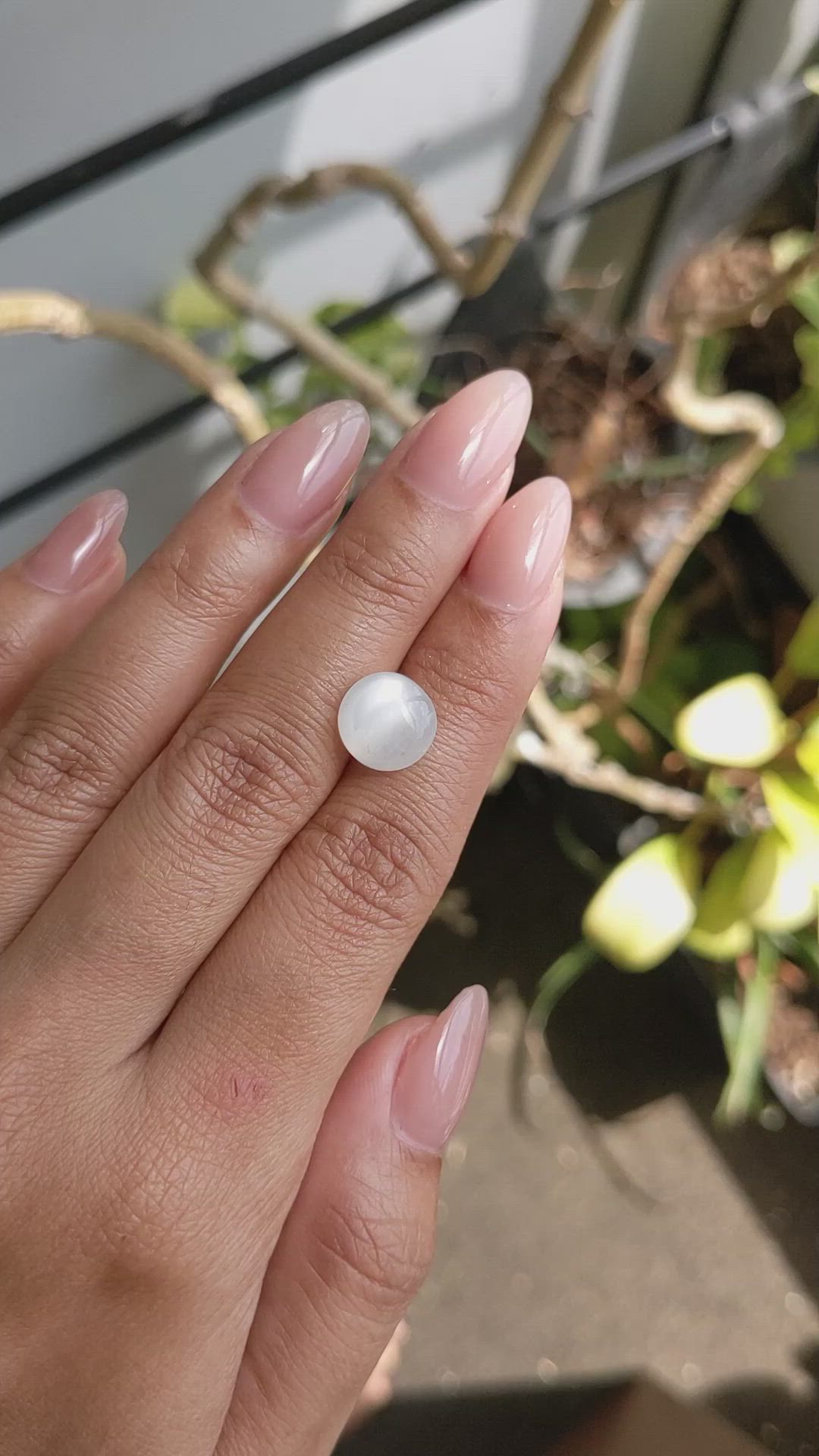3.90 Ct. White Cabochon Moonstone from Ceylon (Sri Lanka) Size Video