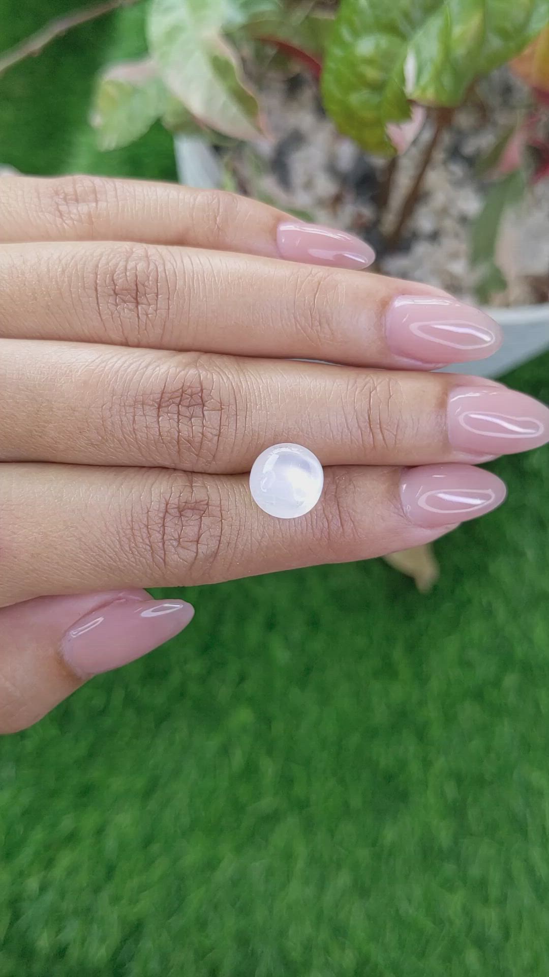 3.90 Ct. White Cabochon Moonstone from Ceylon (Sri Lanka) Size Video