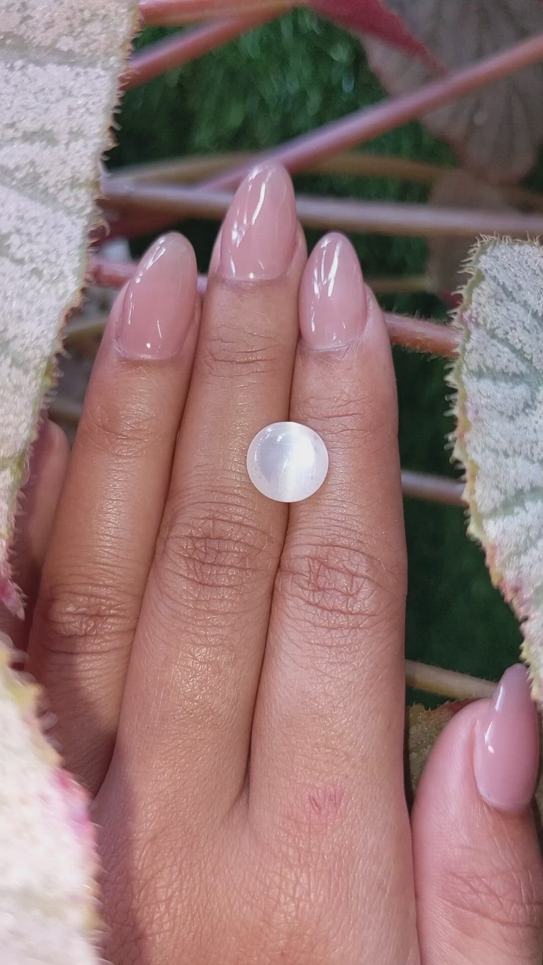 3.90 Ct. White Cabochon Moonstone from Ceylon (Sri Lanka) Size Video
