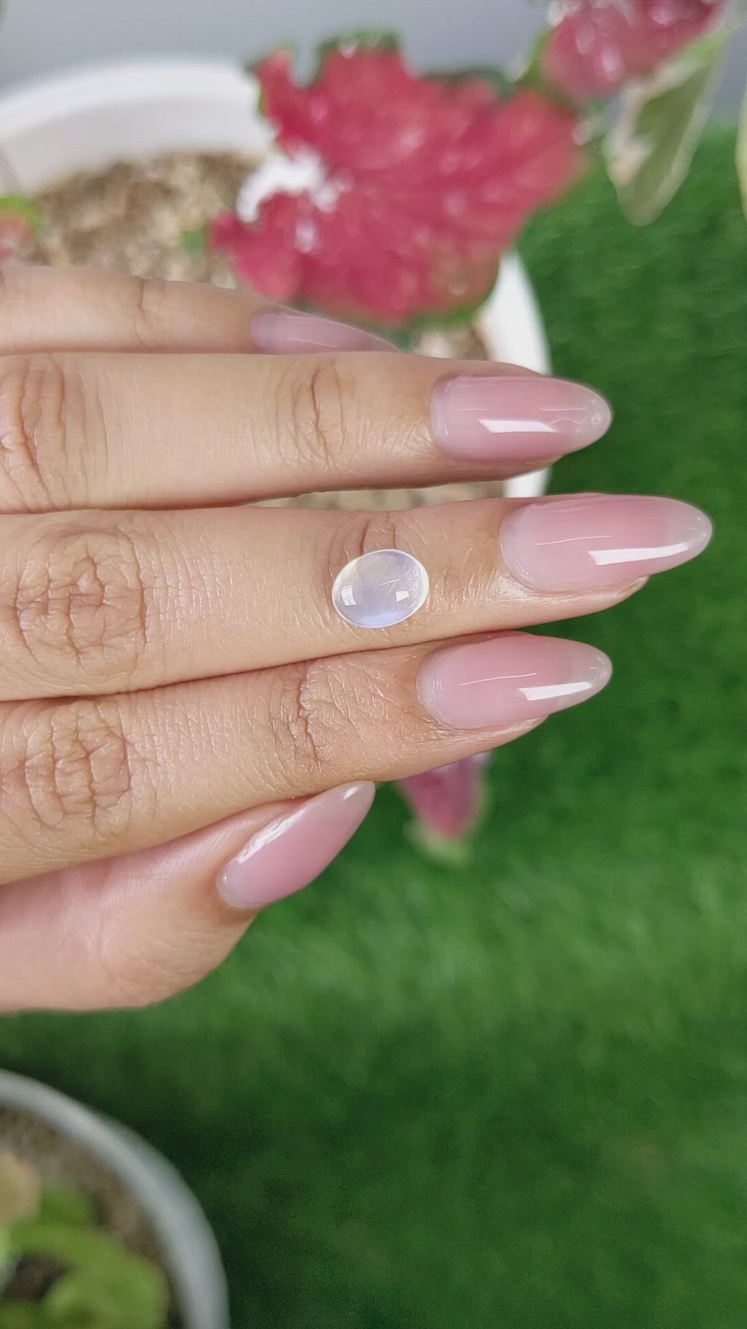 1.61 Ct. White Cabochon Moonstone from Ceylon (Sri Lanka) Size Video