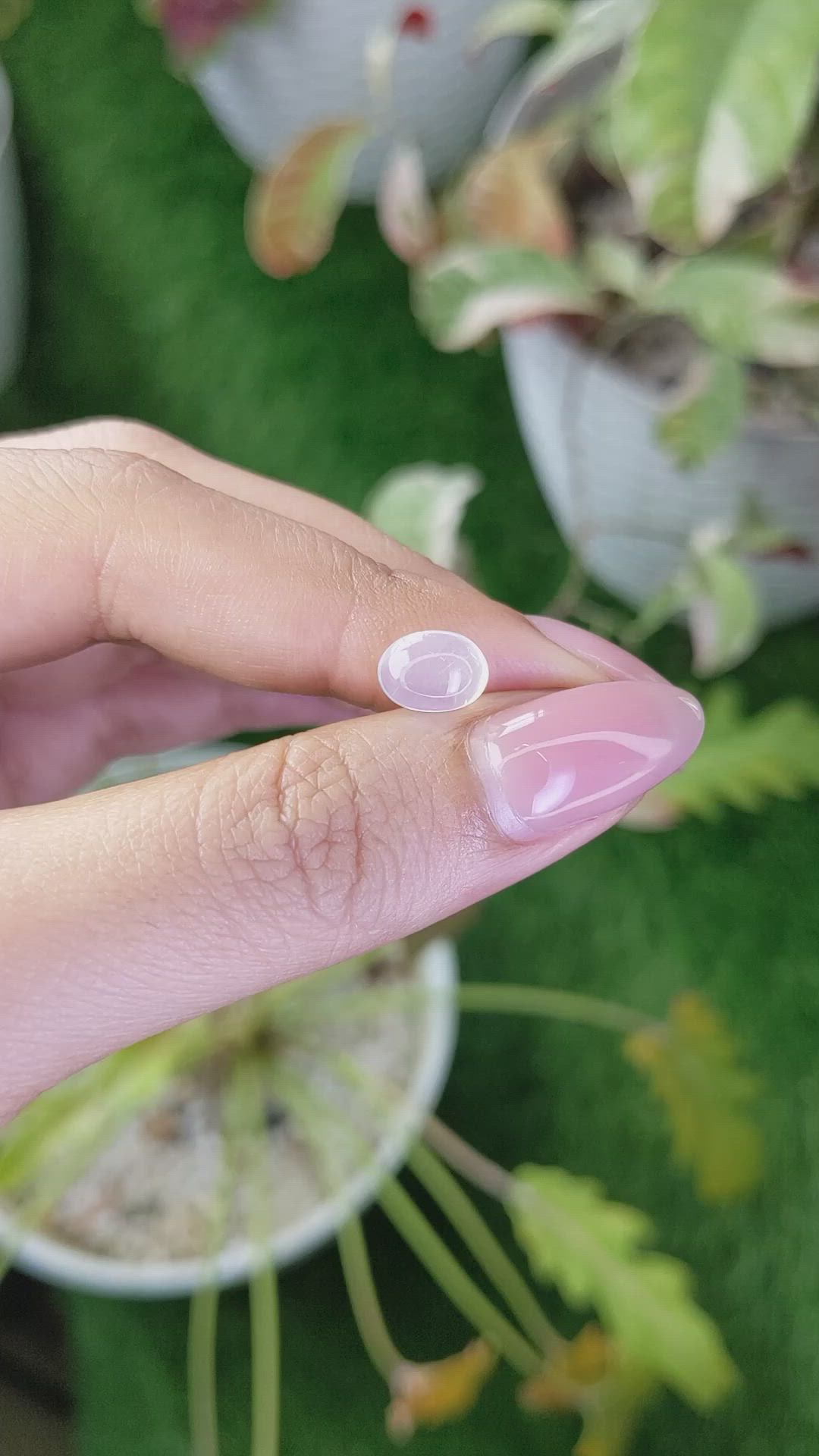1.61 Ct. White Cabochon Moonstone from Ceylon (Sri Lanka) Size Video