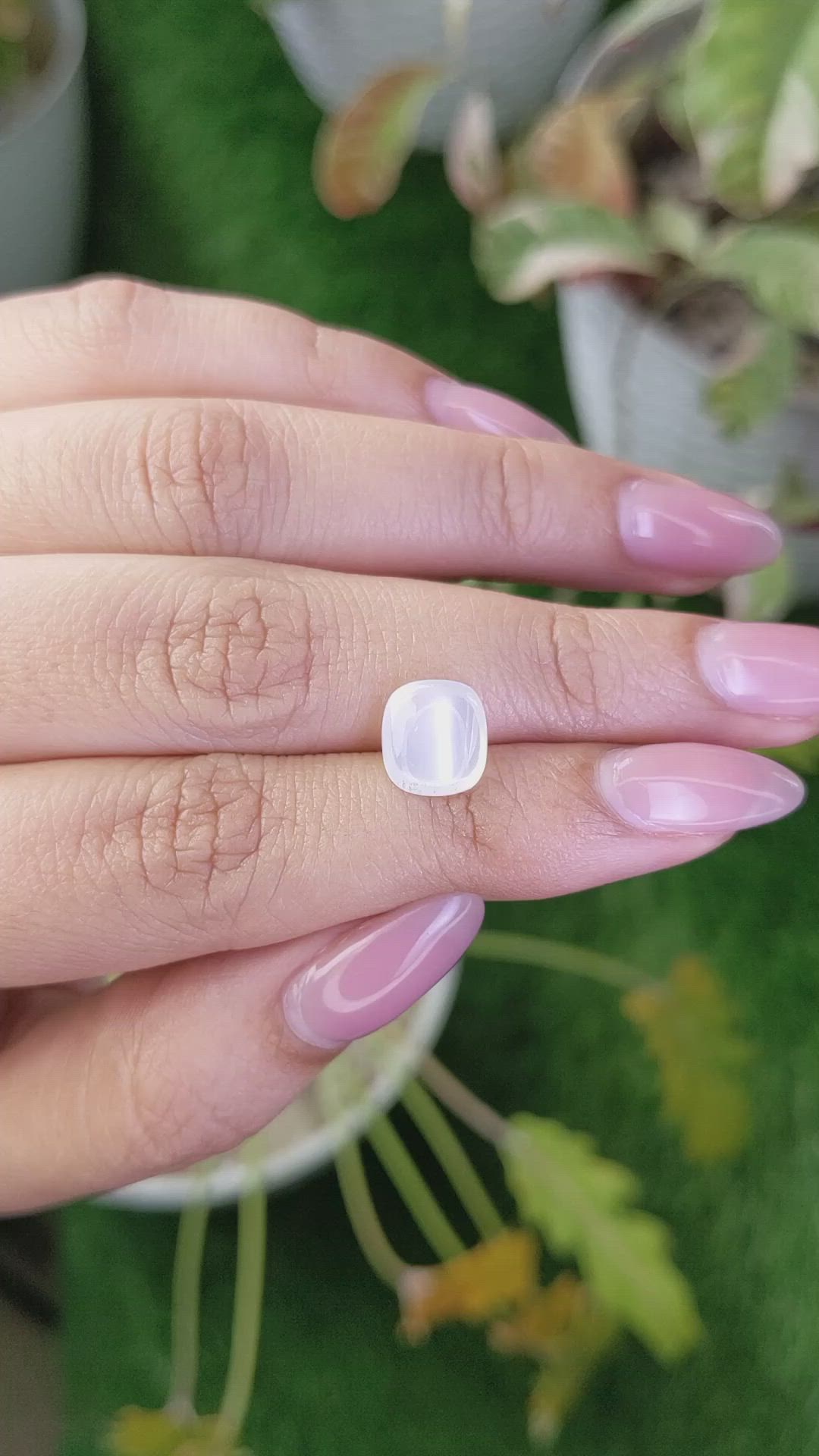 2.68 Ct. White Cabochon Moonstone from Ceylon (Sri Lanka) Size Video