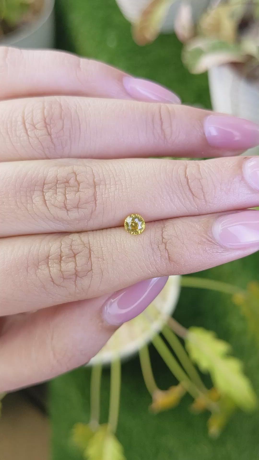 0.60 Ct. Yellow Zircon from Ceylon (Sri Lanka) Size Video