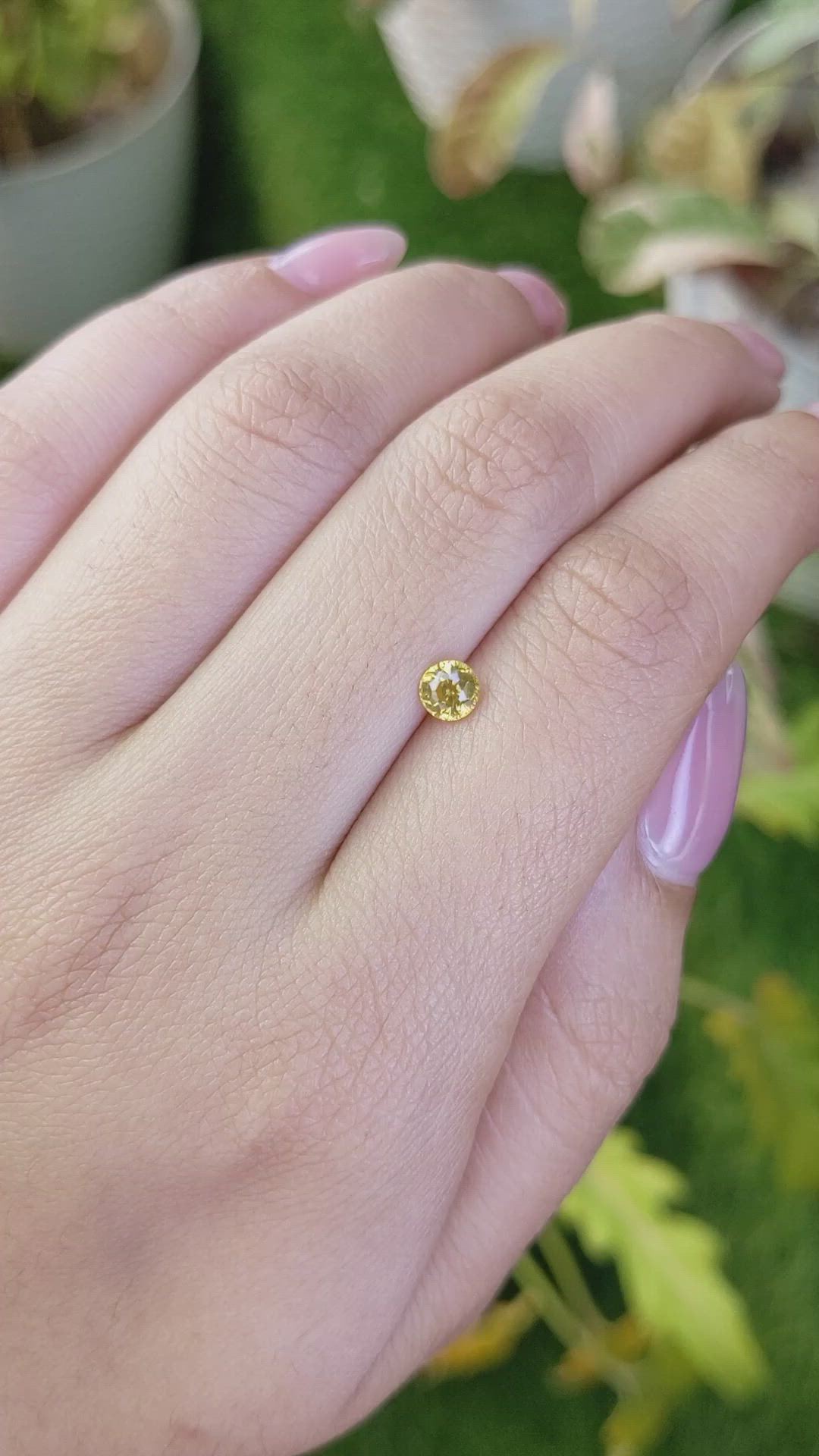 0.60 Ct. Yellow Zircon from Ceylon (Sri Lanka) Size Video