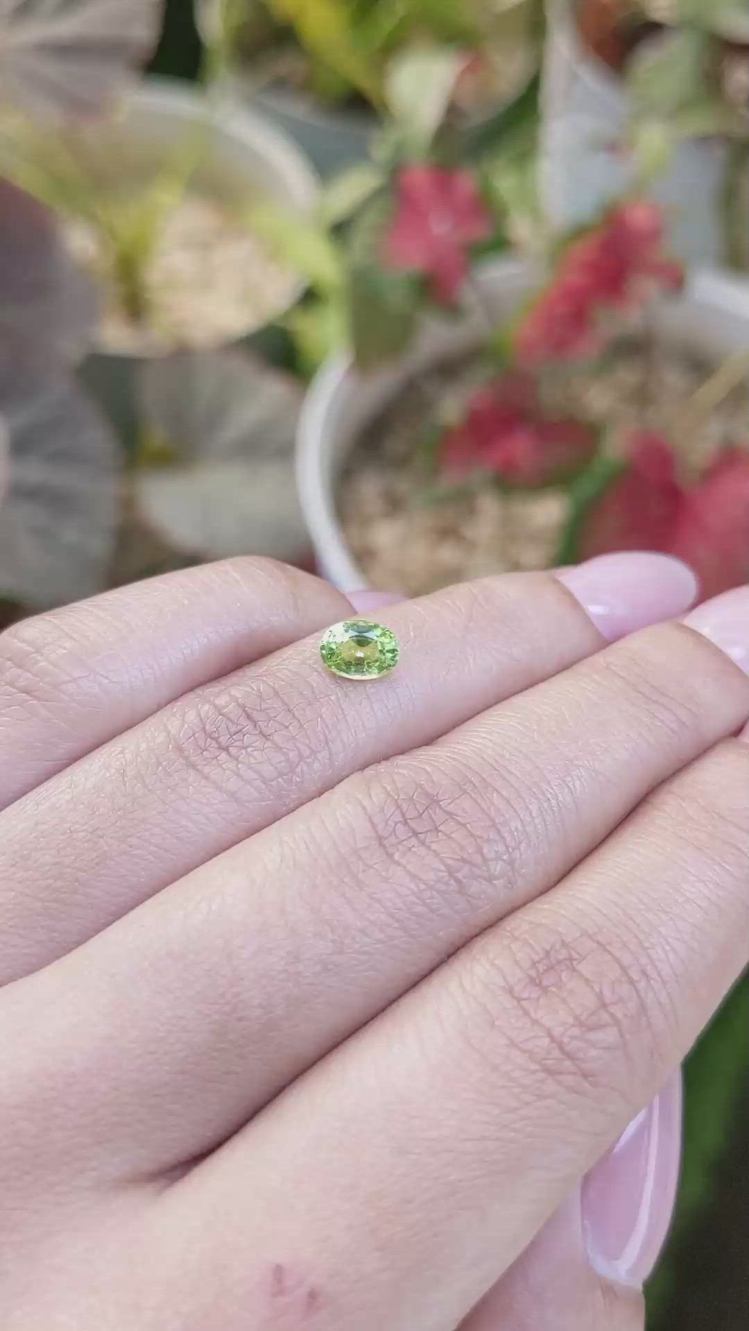 0.81 Ct. Yellowish Green Peridot from Pakistan Size Video