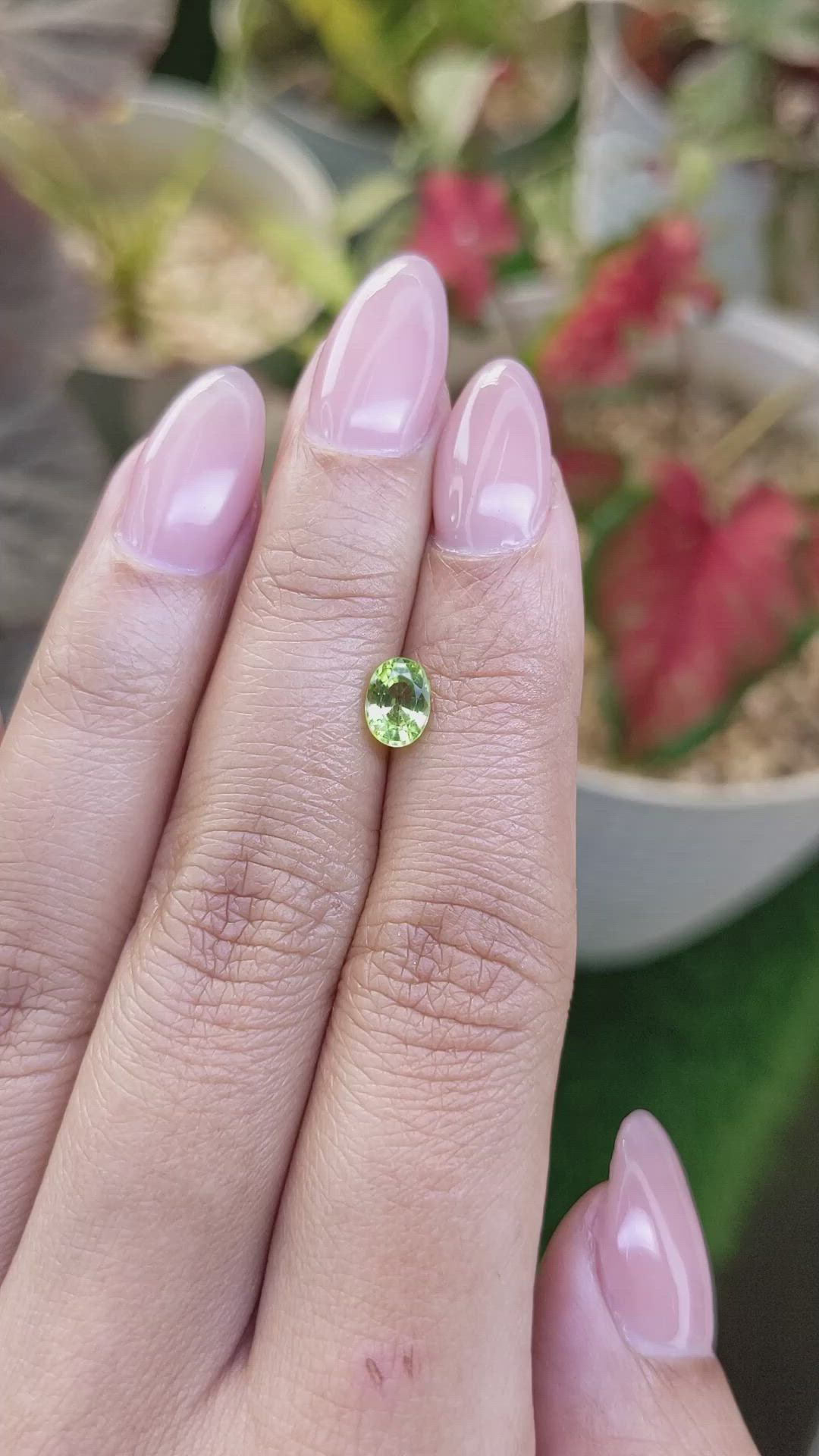 0.81 Ct. Yellowish Green Peridot from Pakistan Size Video