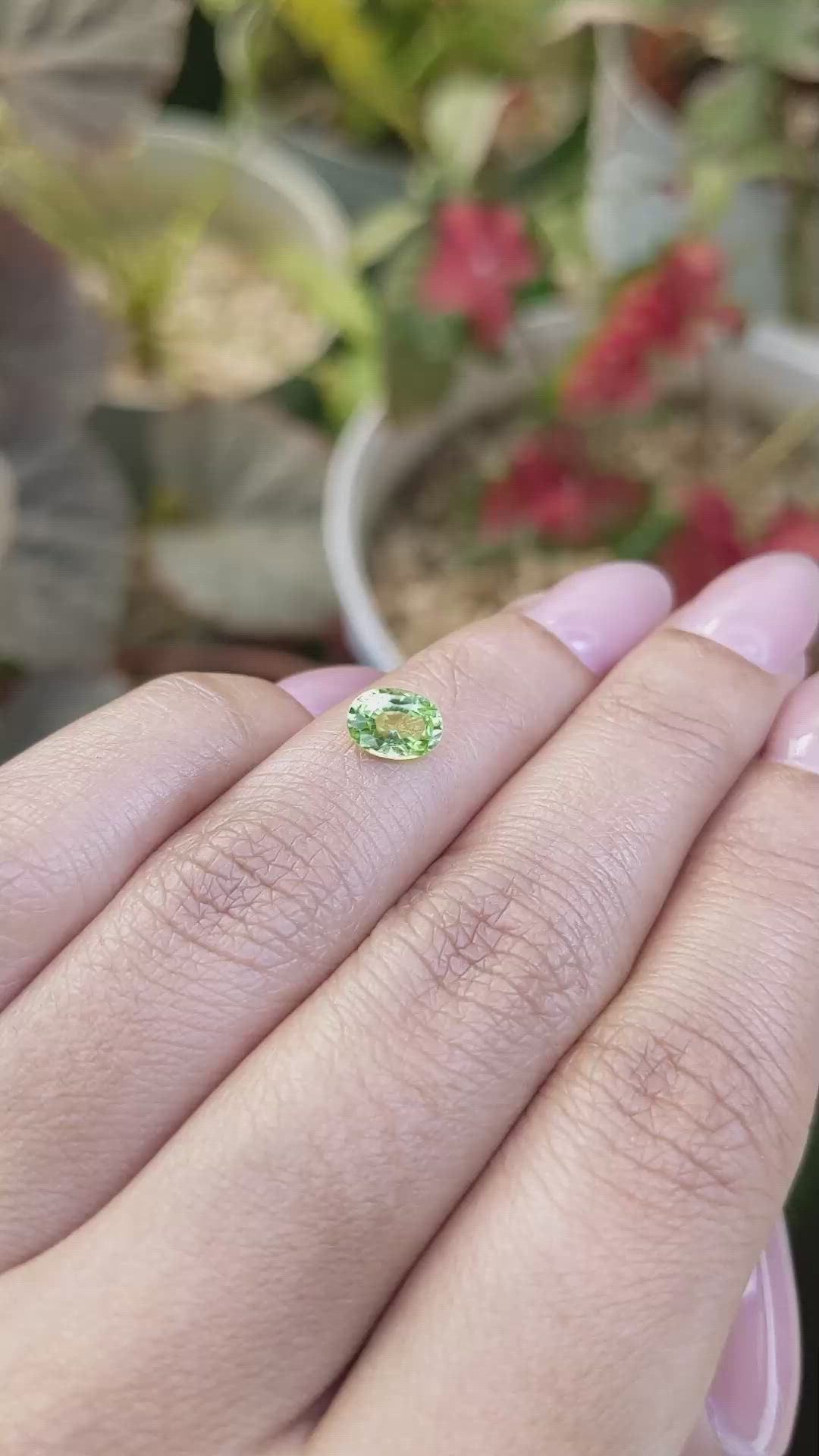 0.82 Ct. Yellowish Green Peridot from Pakistan Size Video