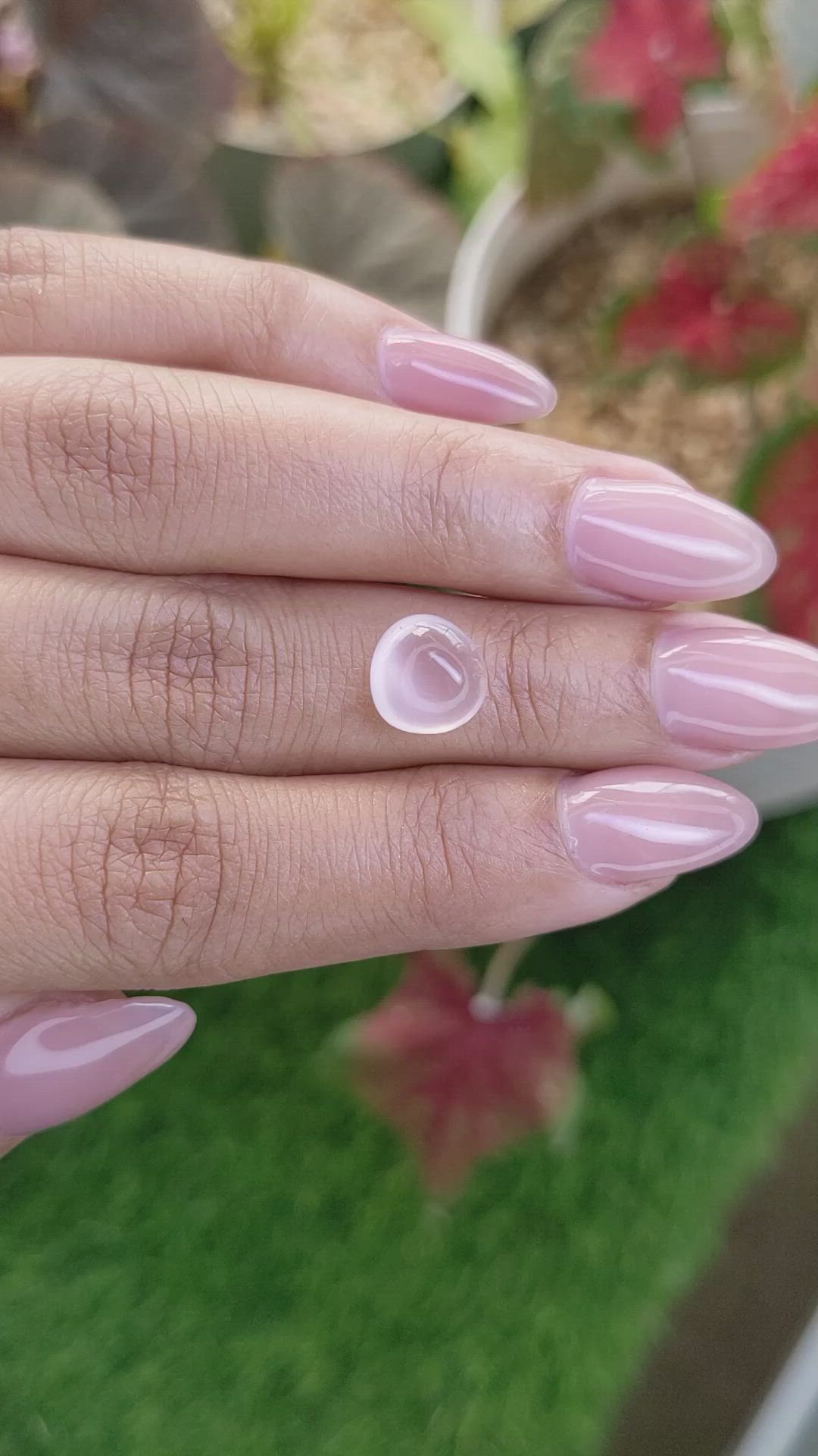 2.98 Ct. Pink Cabochon Rose Quartz from Ceylon (Sri Lanka) Size Video