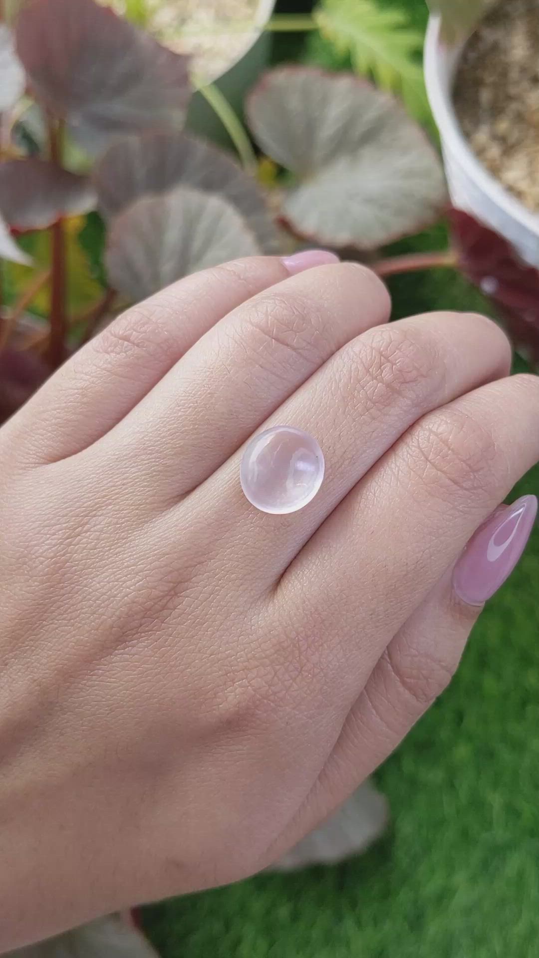 5.18 Ct. Pink Cabochon Rose Quartz from Ceylon (Sri Lanka) Size Video