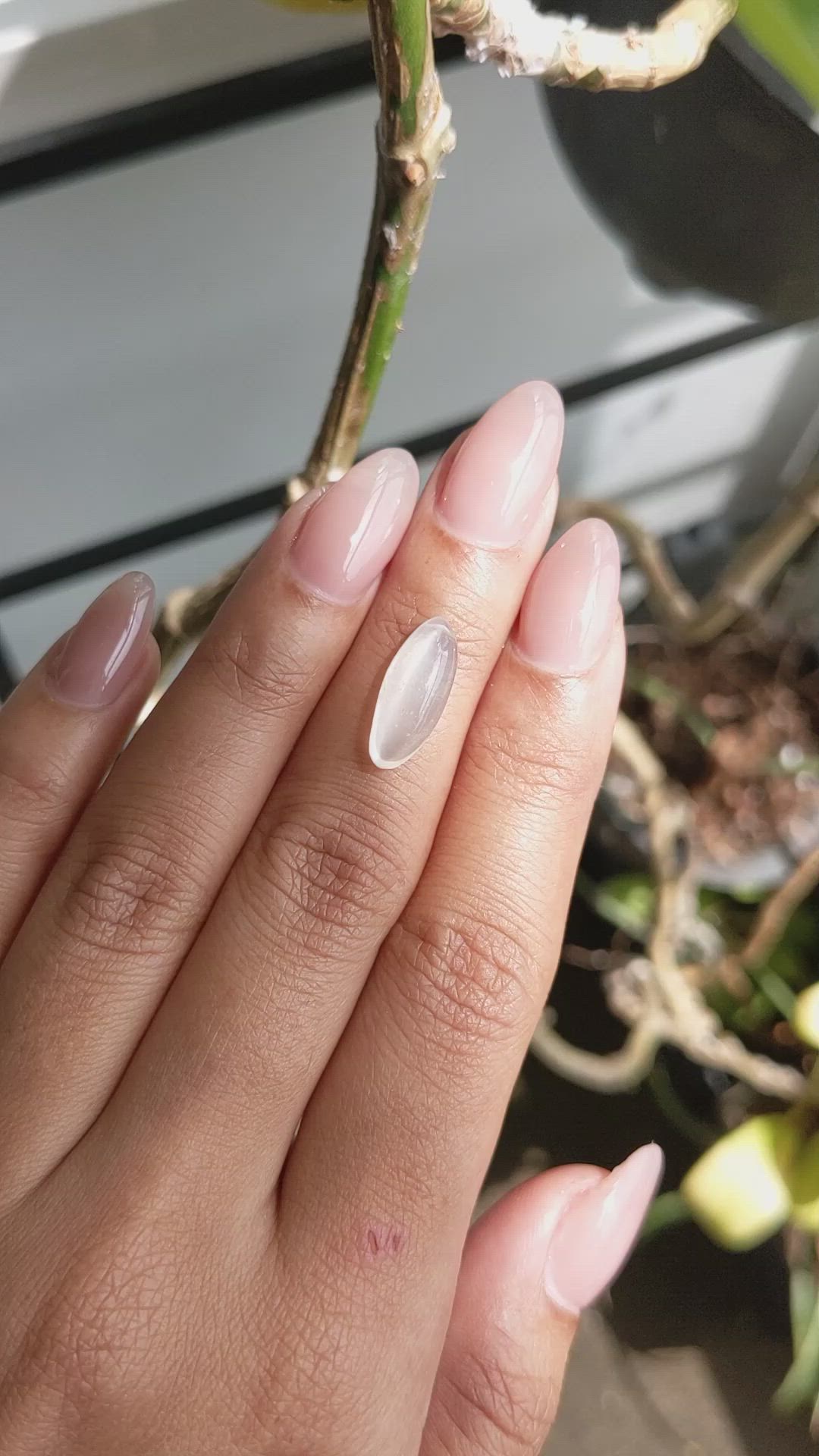 3.25 Ct. White Cabochon Moonstone from Ceylon (Sri Lanka) Size Video