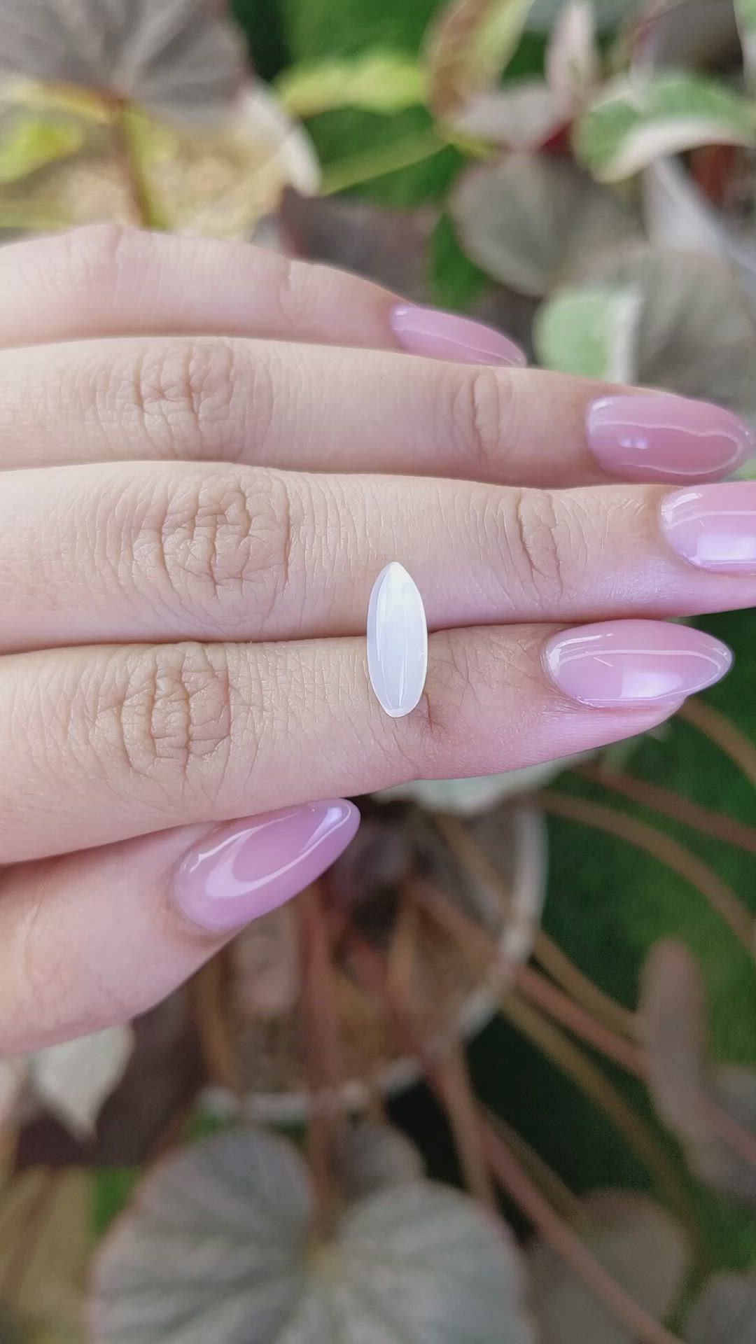 2.23 Ct. White Cabochon Moonstone from Ceylon (Sri Lanka) Size Video