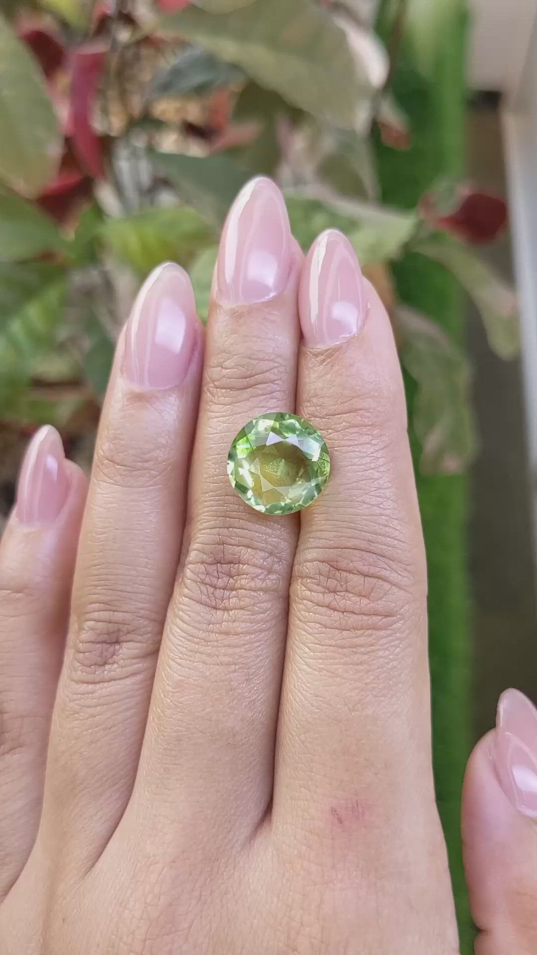 6.81 Ct. Yellowish Green Prasiolite from Madagascar Size Video