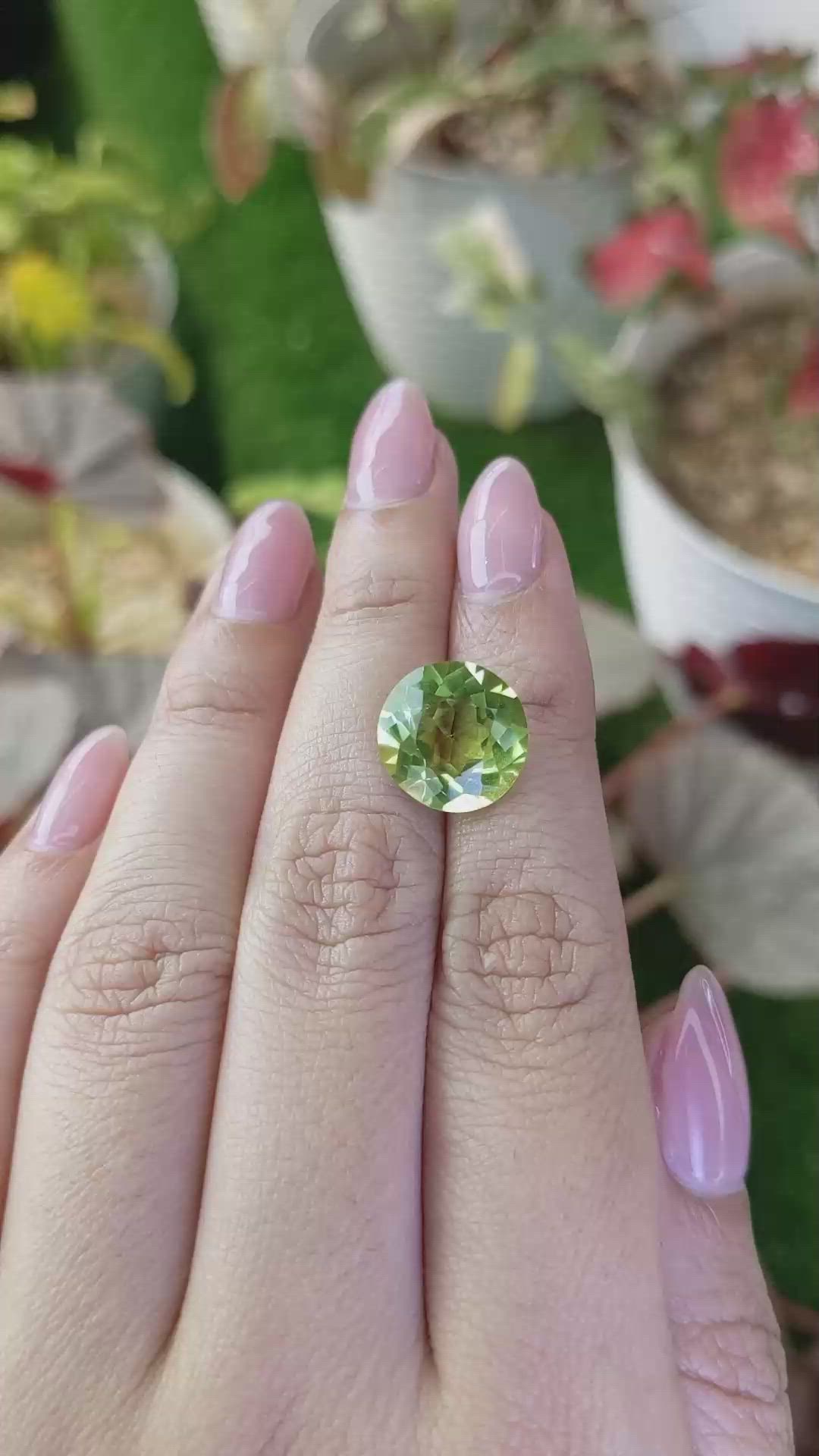 6.83 Ct. Yellowish Green Prasiolite from Madagascar Size Video