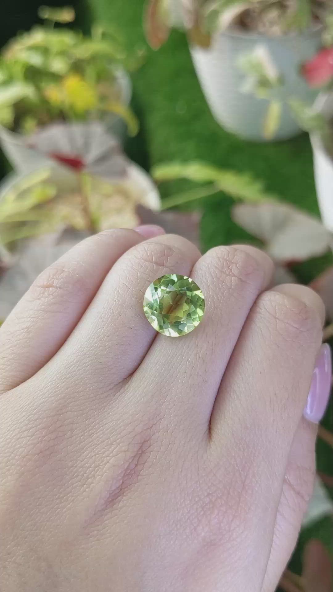 6.83 Ct. Yellowish Green Prasiolite from Madagascar Size Video