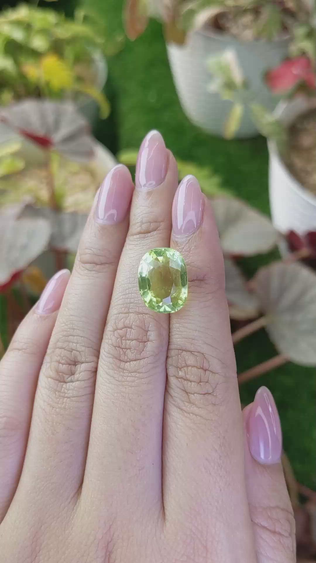 9.21 Ct. Yellowish Green Prasiolite from Madagascar Size Video
