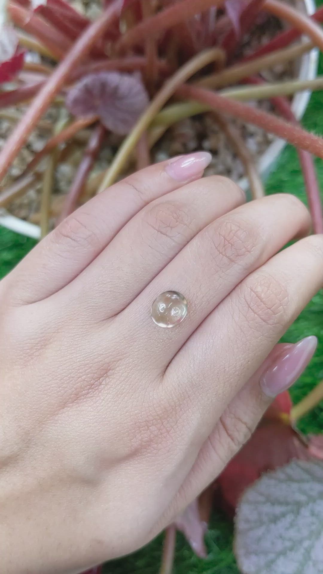 2.68 Ct. Smoky Cabochon Smokey Quartz from Ceylon (Sri Lanka) Size Video