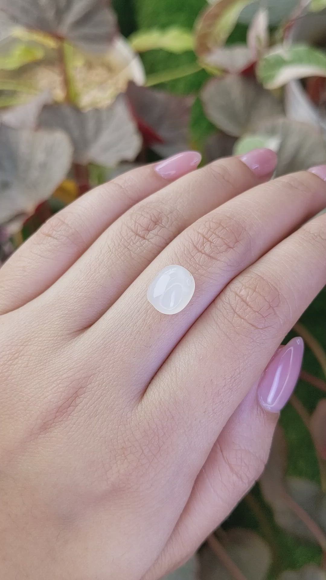 3.86 Ct. White Cabochon Moonstone from Ceylon (Sri Lanka) Size Video