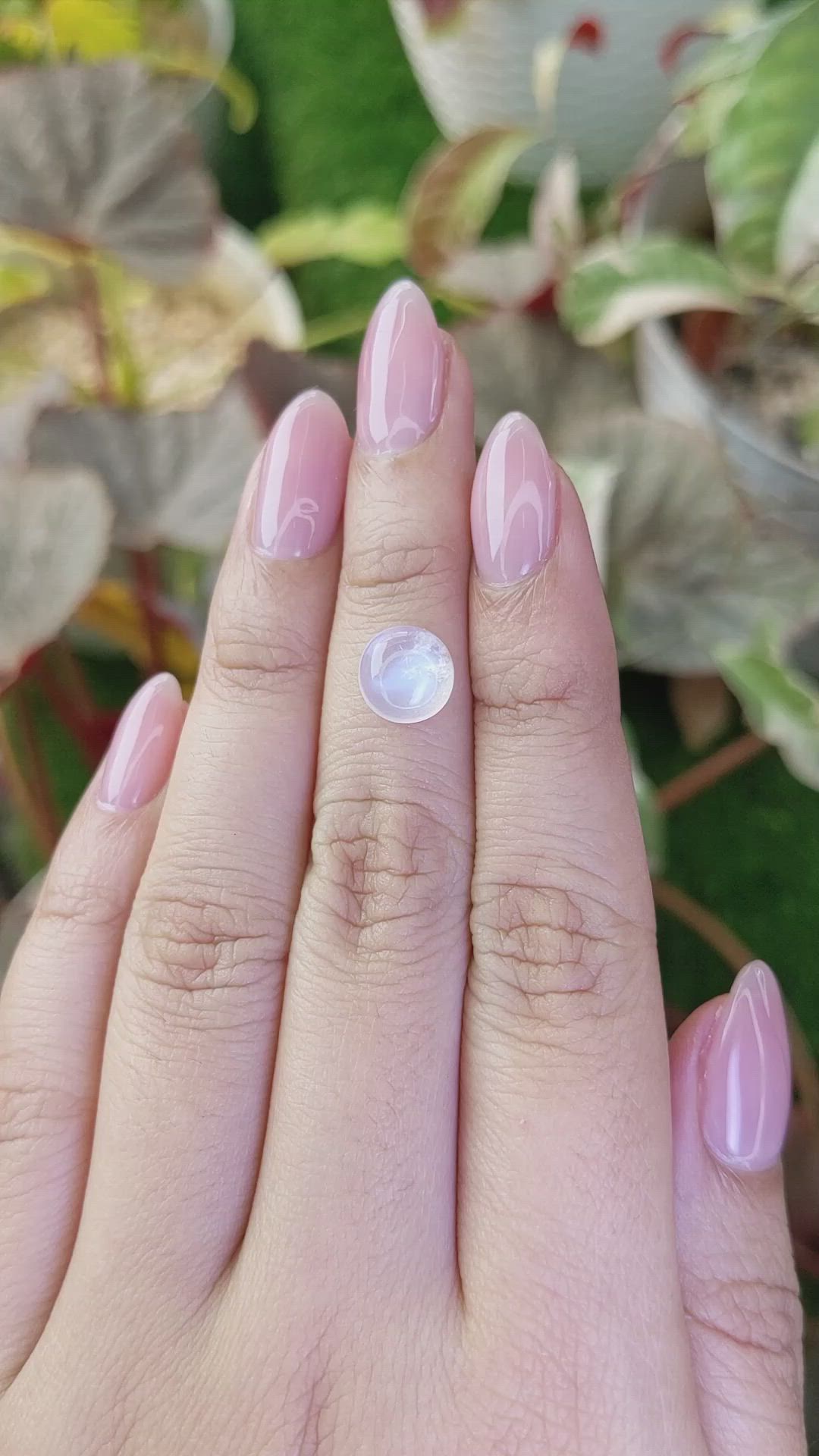 2.09 Ct. Blue Flash Cabochon Moonstone from Ceylon (Sri Lanka) Size Video