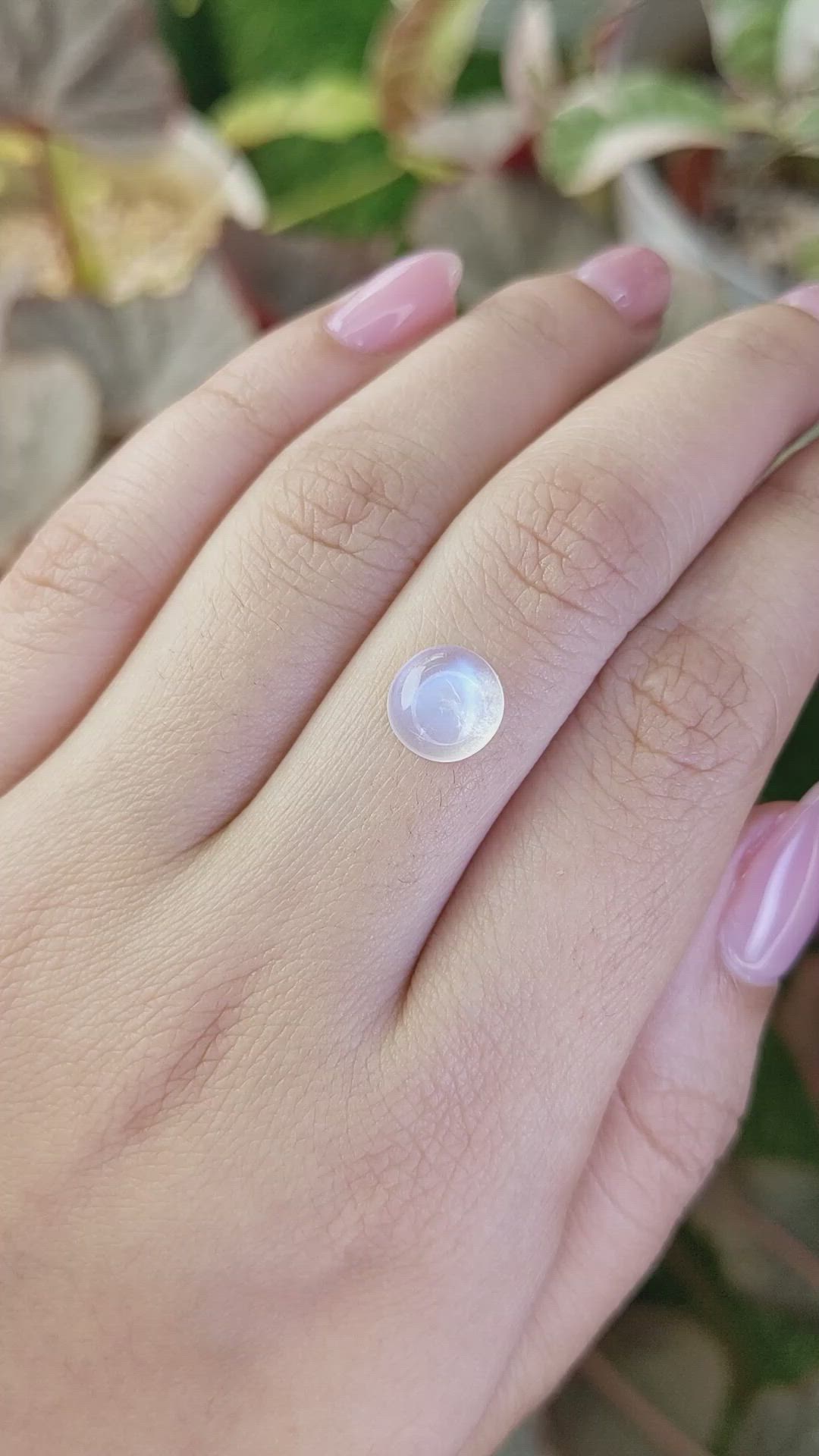 2.09 Ct. Blue Flash Cabochon Moonstone from Ceylon (Sri Lanka) Size Video