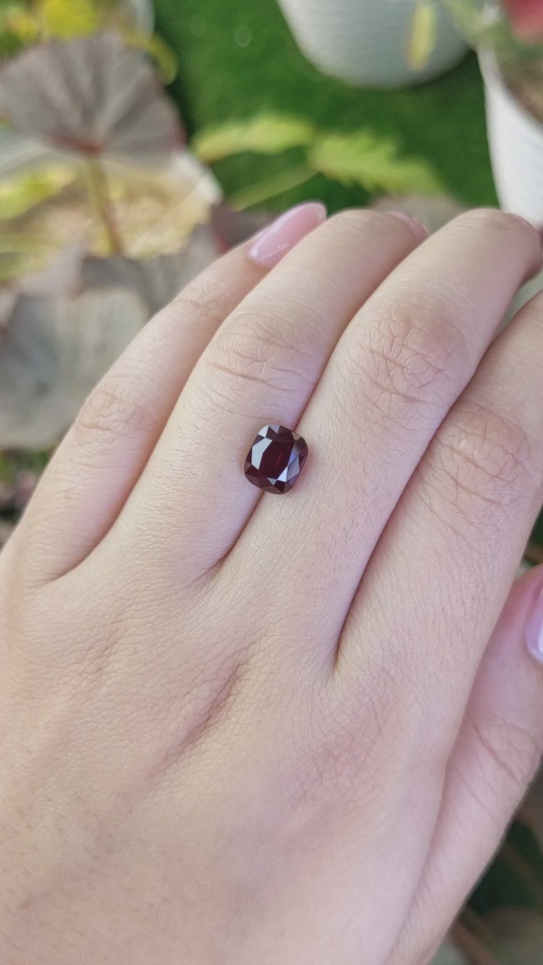 2.66 Ct. Purplish Red Rhodolite Garnet from Ceylon (Sri Lanka) Size Video