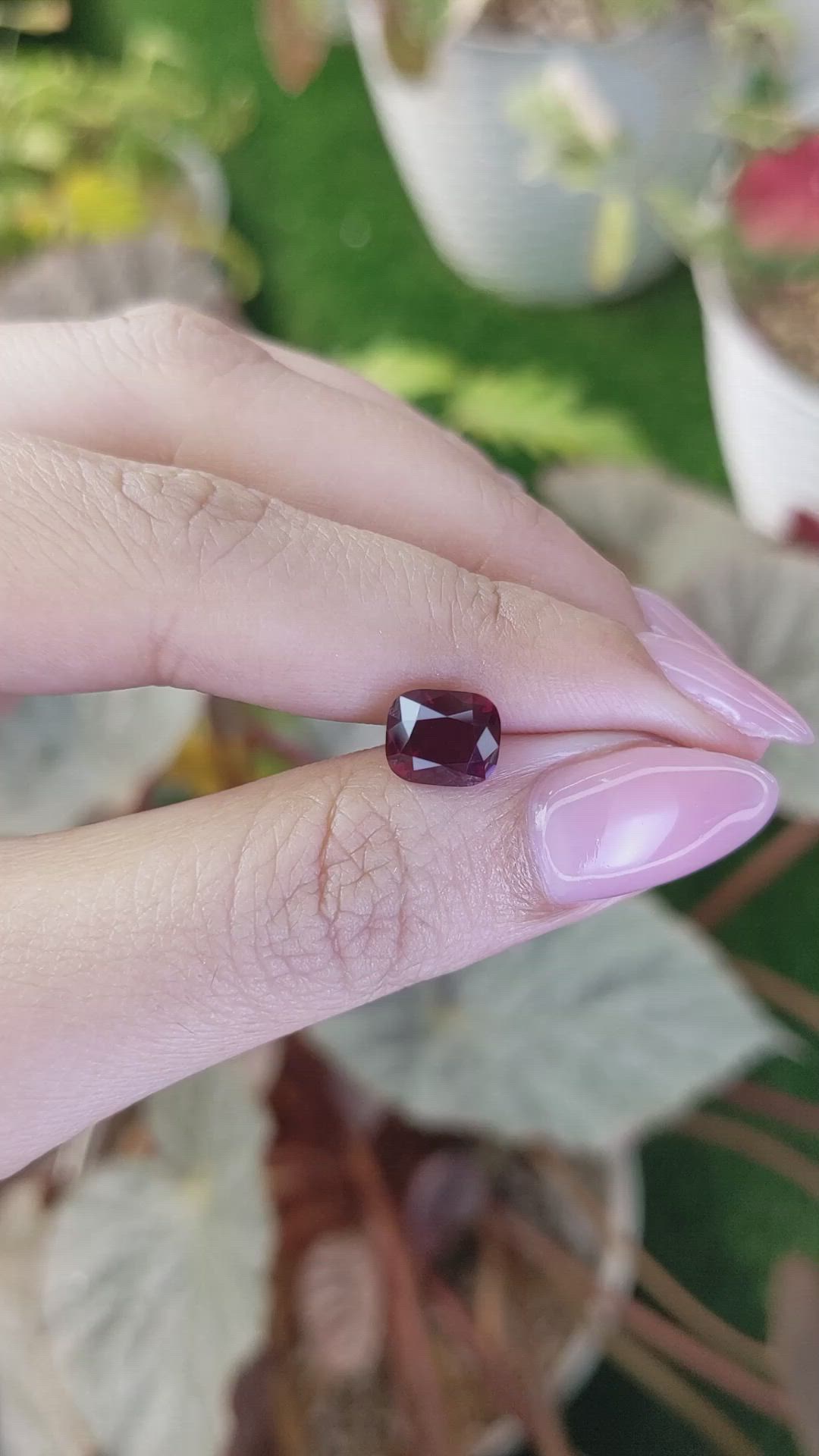2.66 Ct. Purplish Red Rhodolite Garnet from Ceylon (Sri Lanka) Size Video